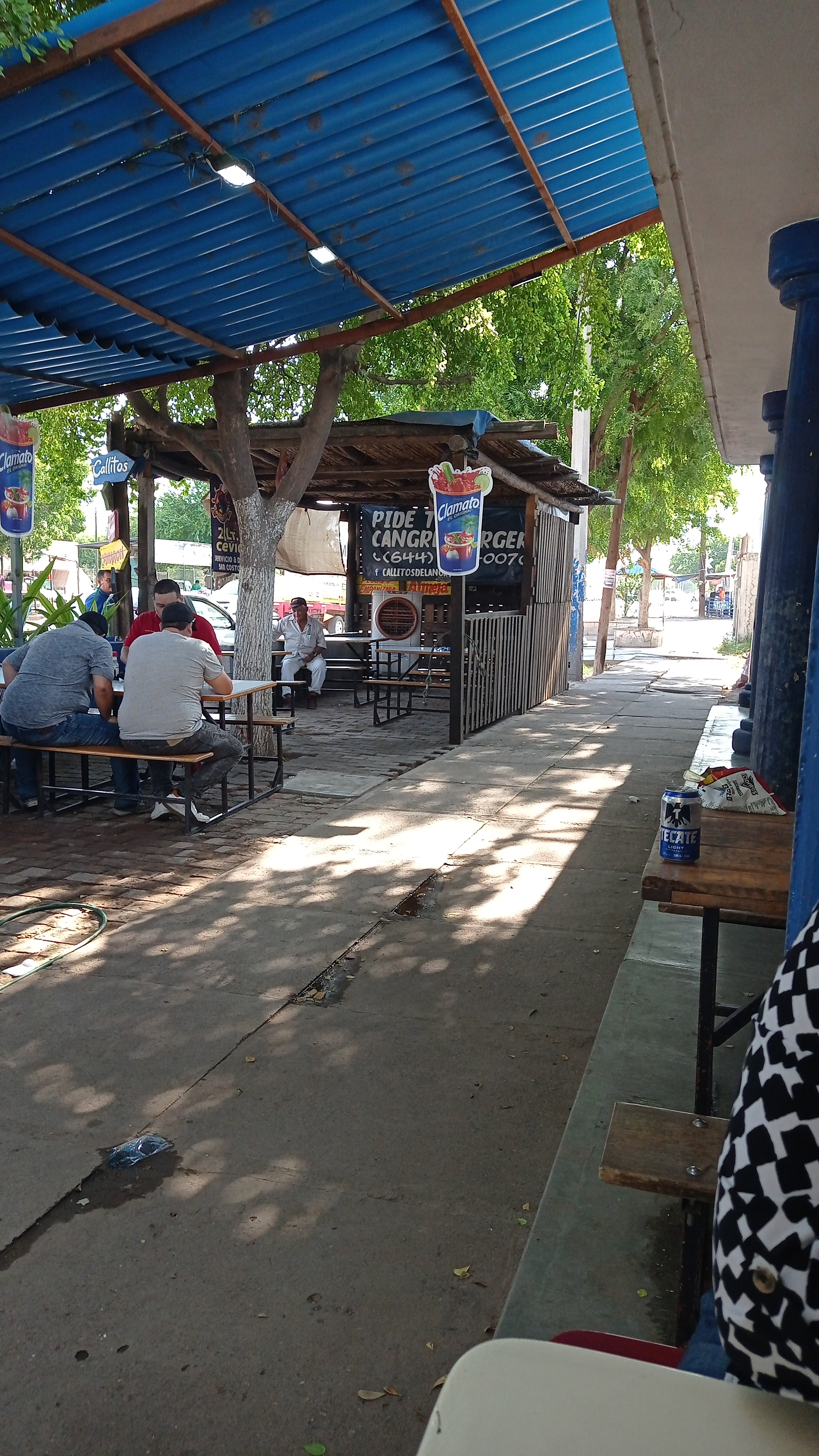 Callitos De La Norte image 9