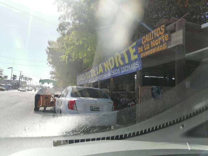 Callitos De La Norte image 10
