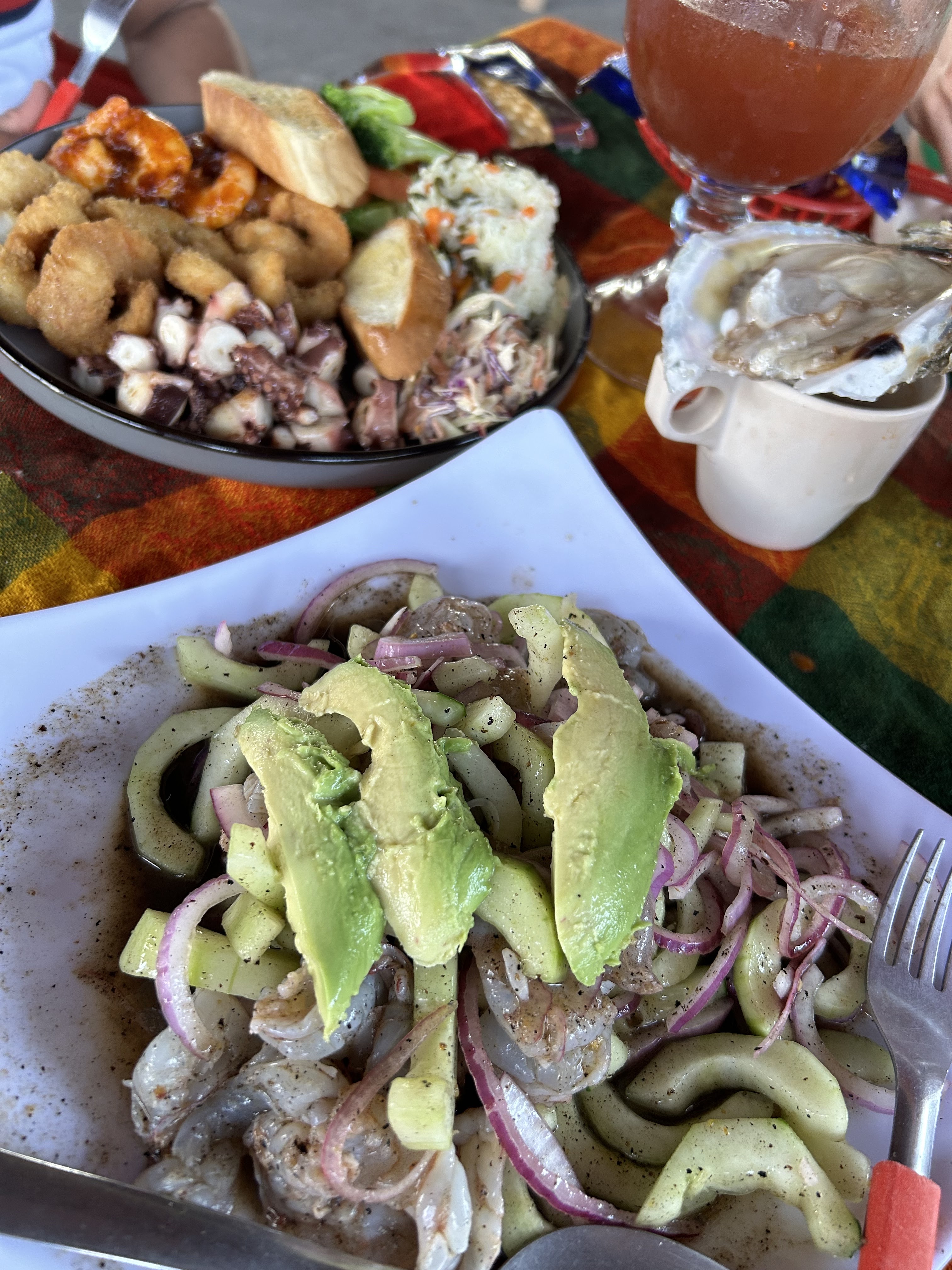 El Vallartense image 5