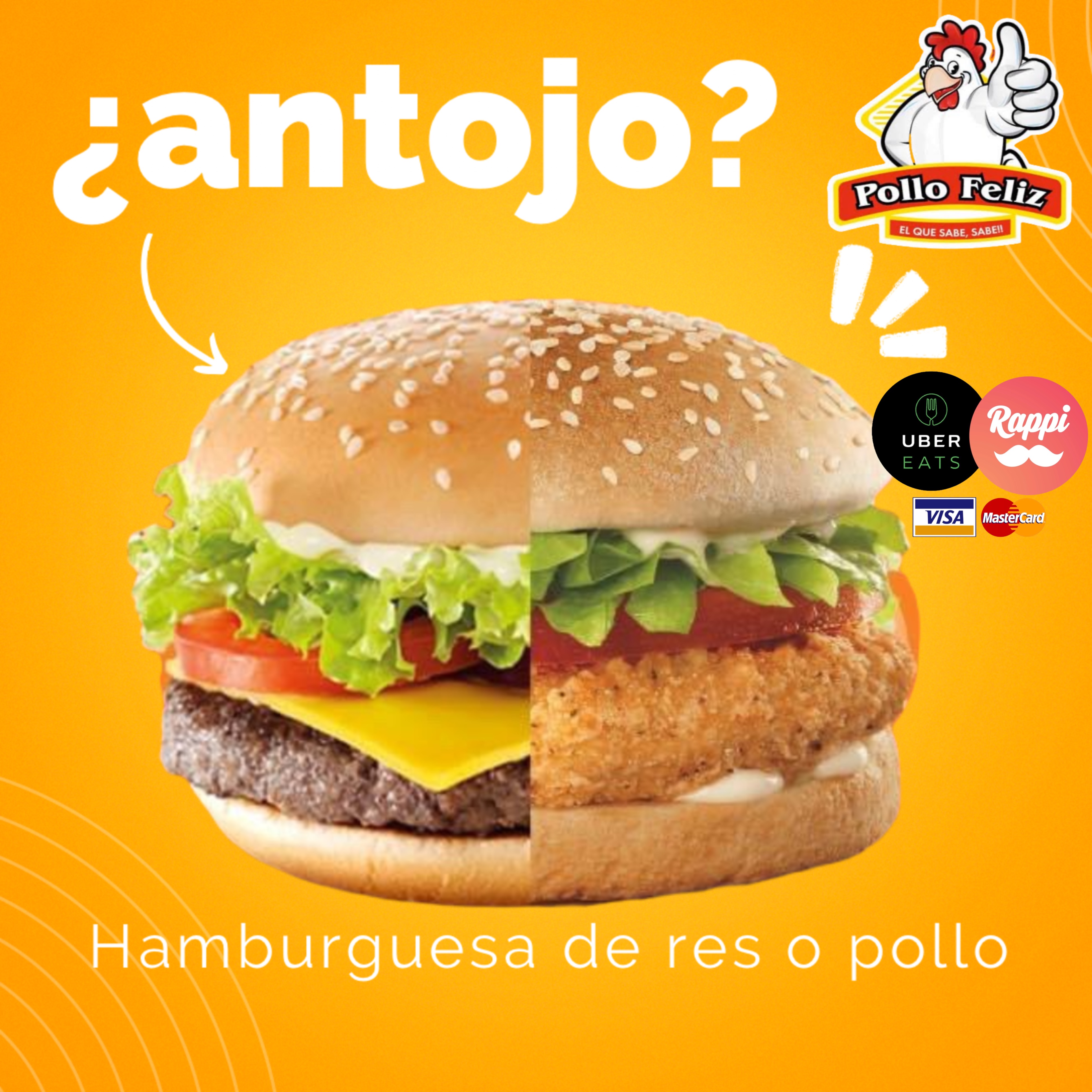 Pollo Felíz image 8