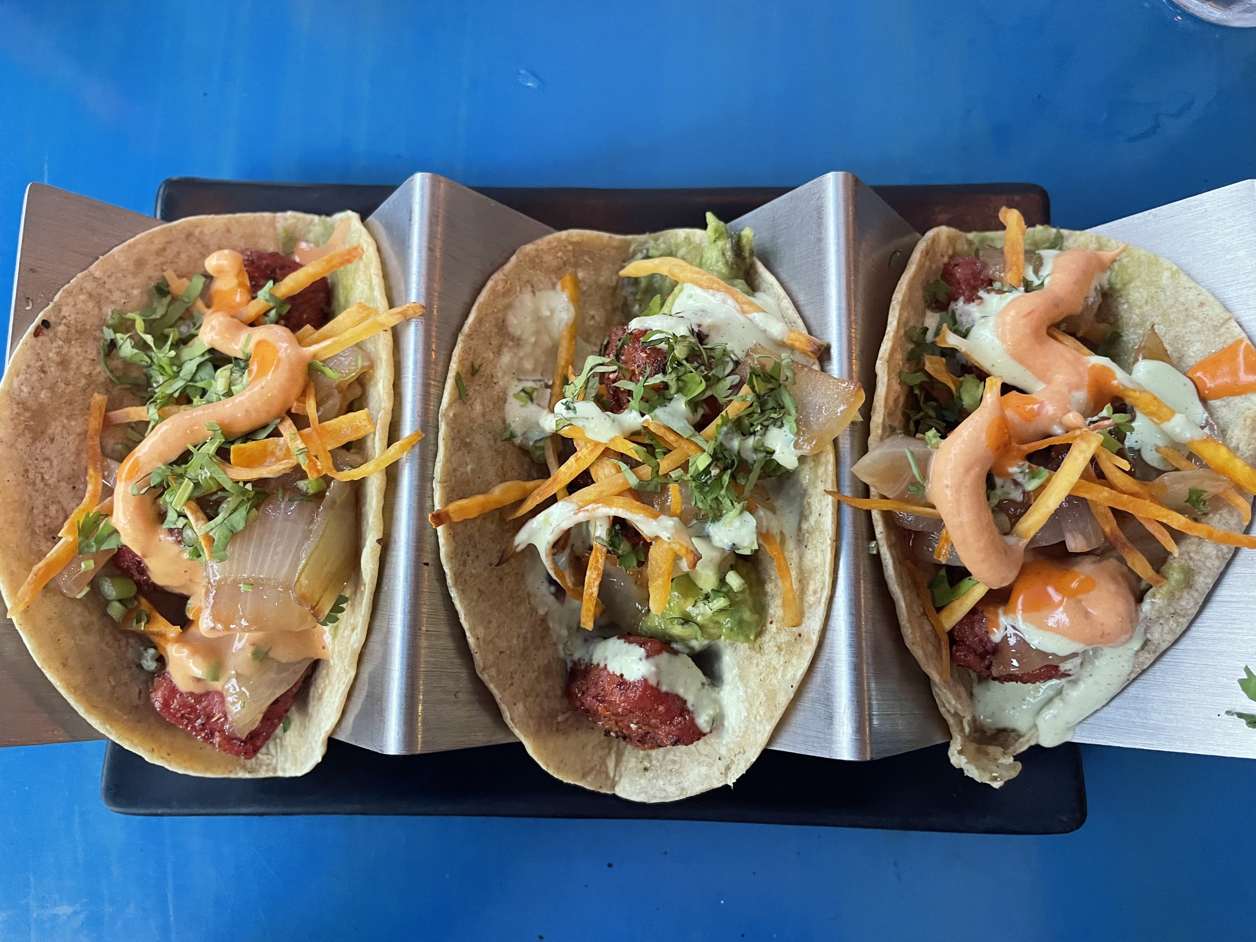 Tuna Azul Zona Romantica image 5