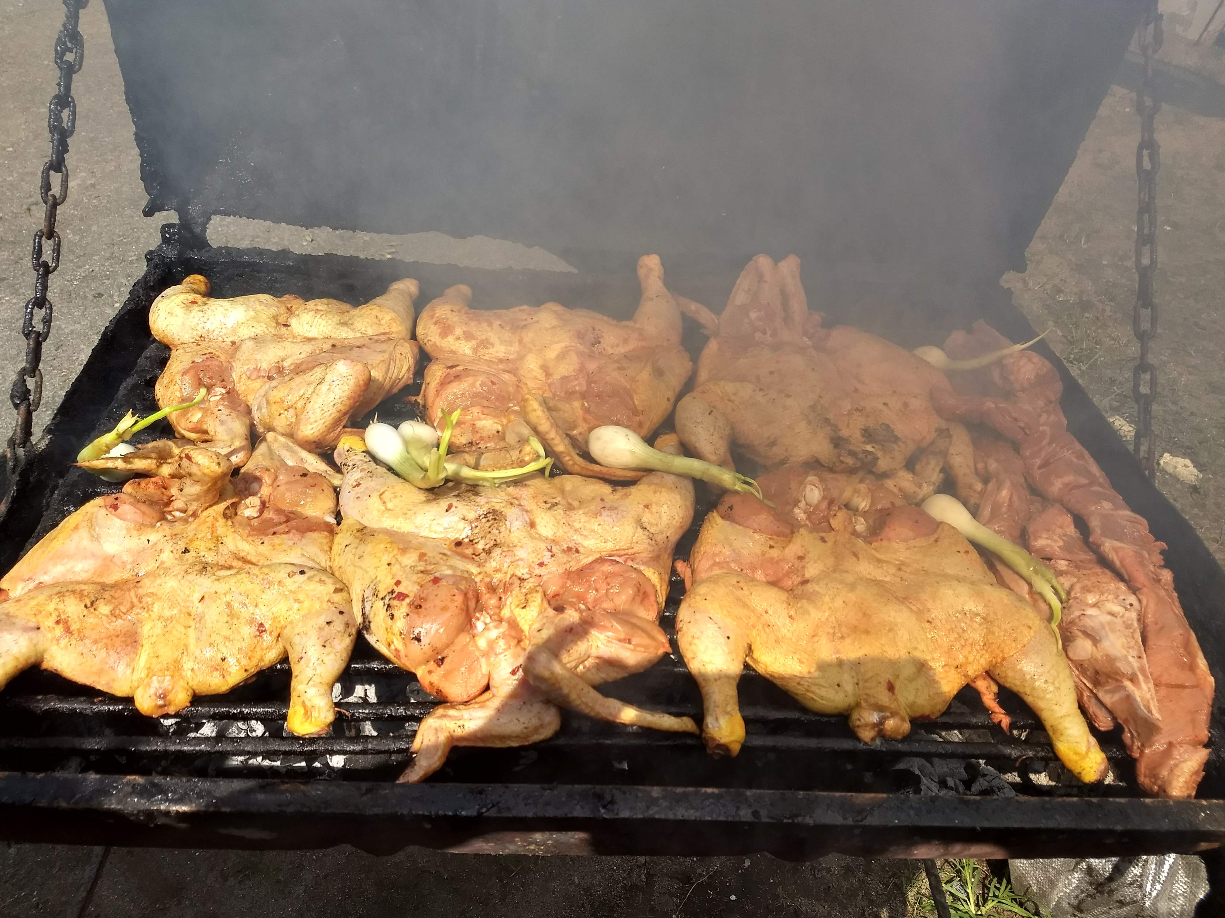 Pollos y costillas las palomas image 8