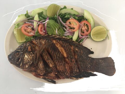 Las Ranitas image 2