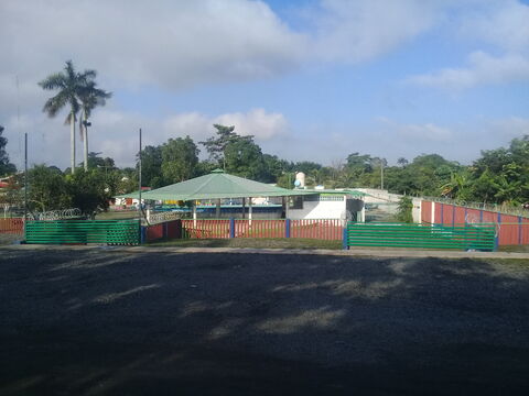 Las Ranitas image 5