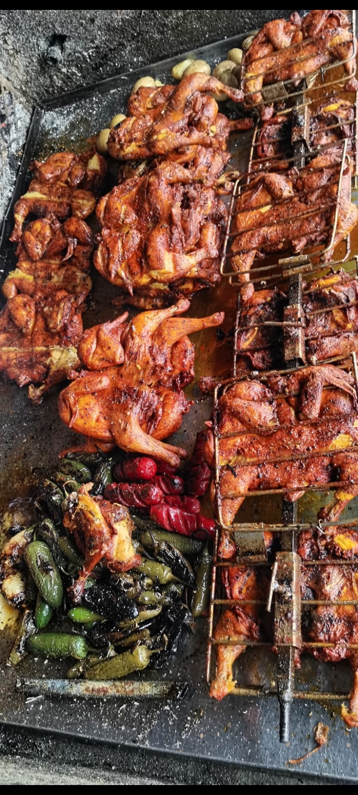 Pollos Bip Bip image 2