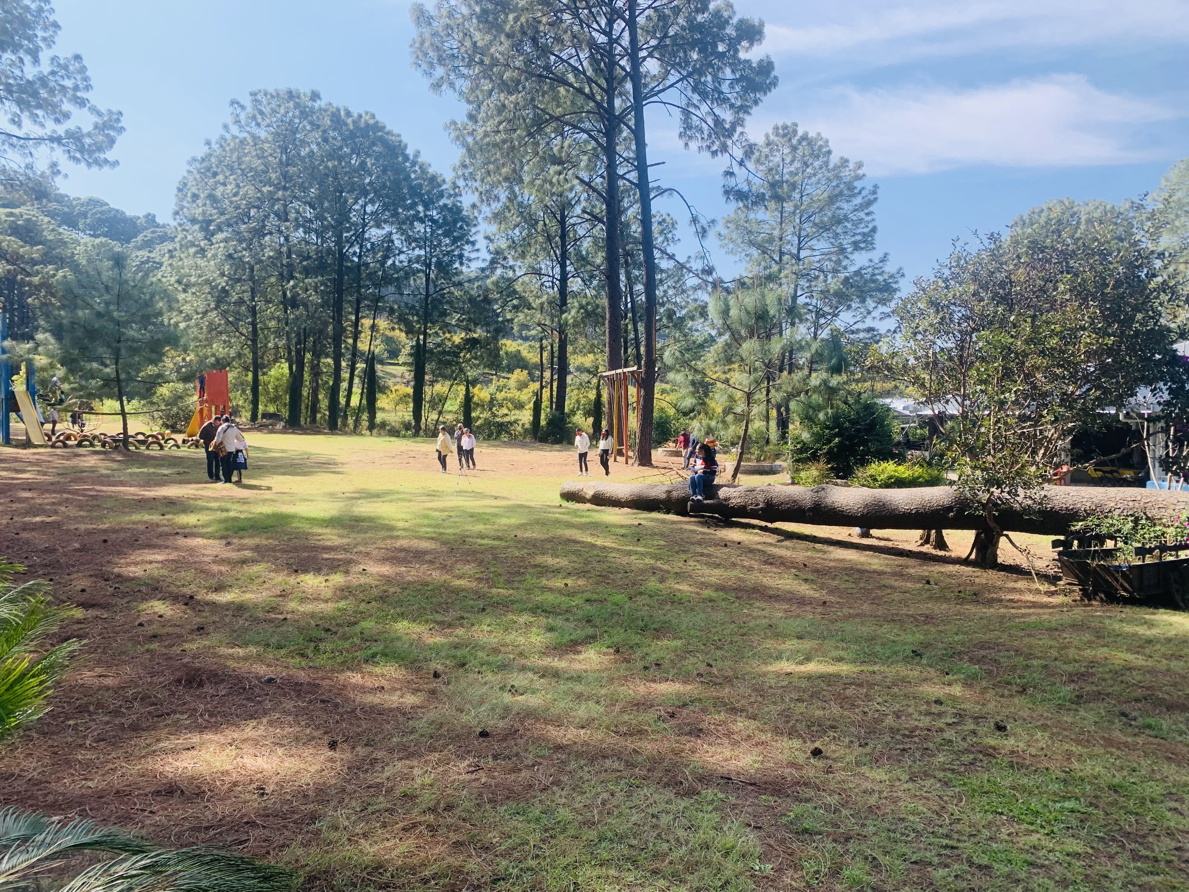 Buffete Campestre Andandikuran image 3