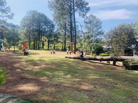 Buffete Campestre Andandikuran image 3
