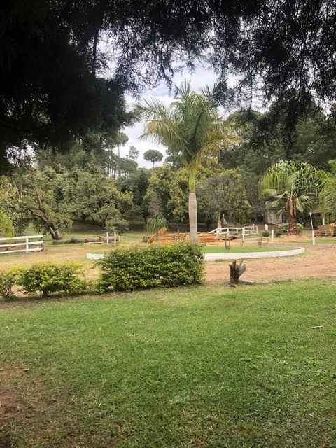 Buffete Campestre Andandikuran image 5