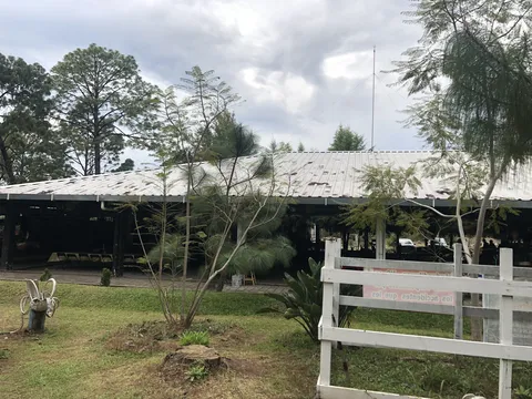 Buffete Campestre Andandikuran image 6