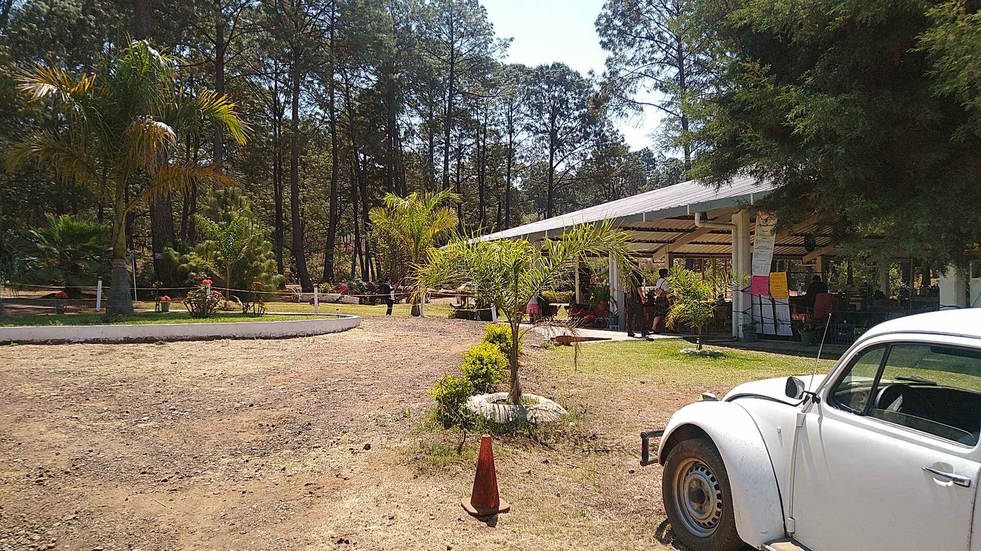 Buffete Campestre Andandikuran image 10