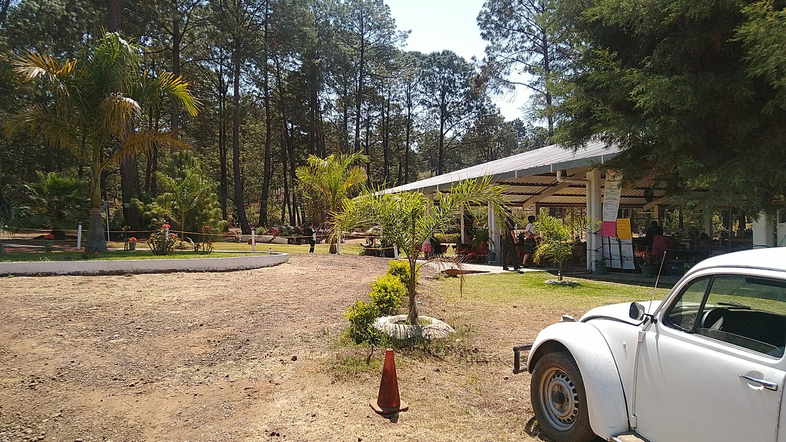 Buffete Campestre Andandikuran image 10