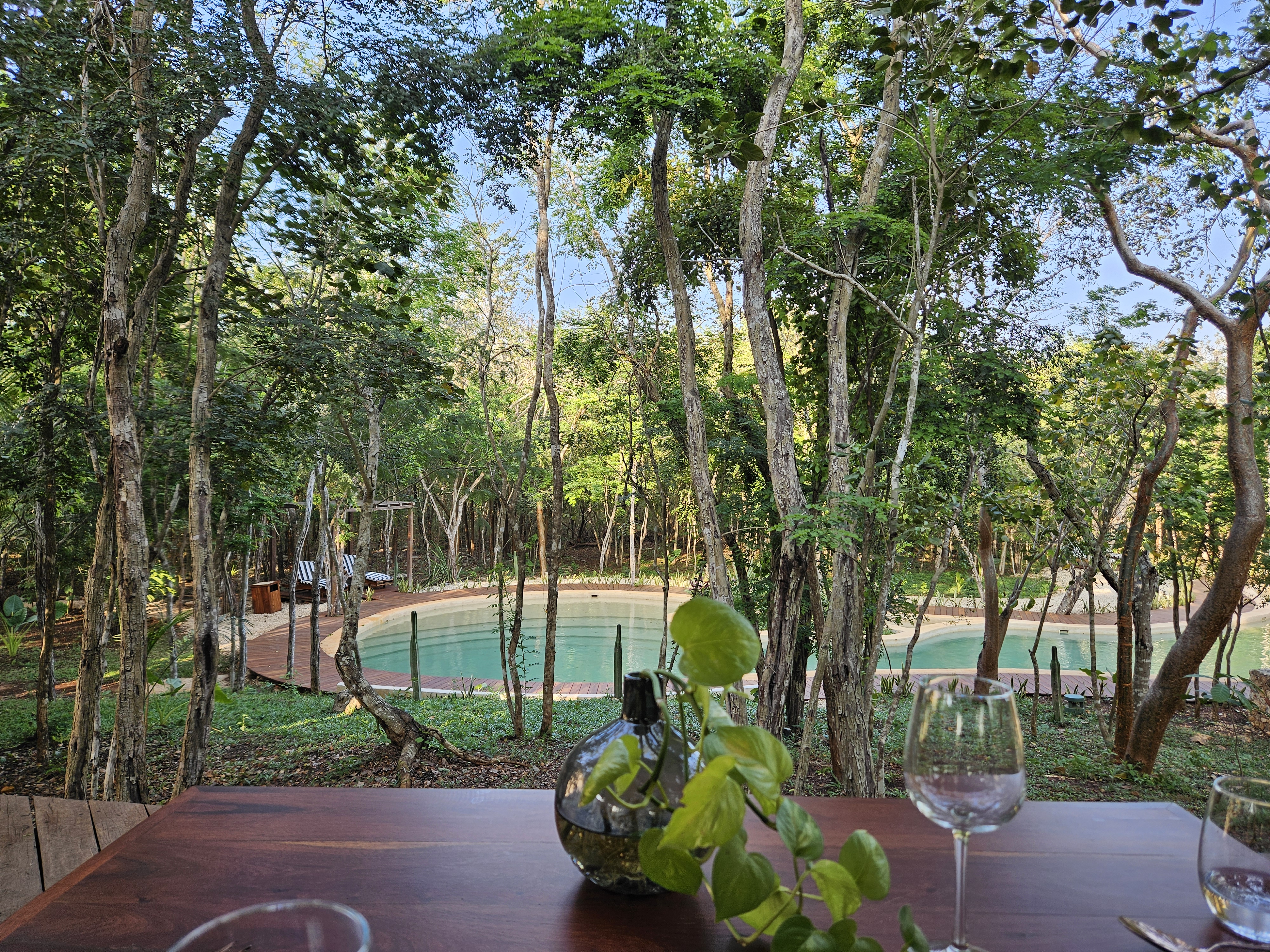 Mestizo Misterio Culinario image 5