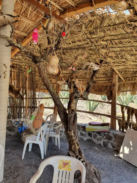 La guaridad del coyote image 1
