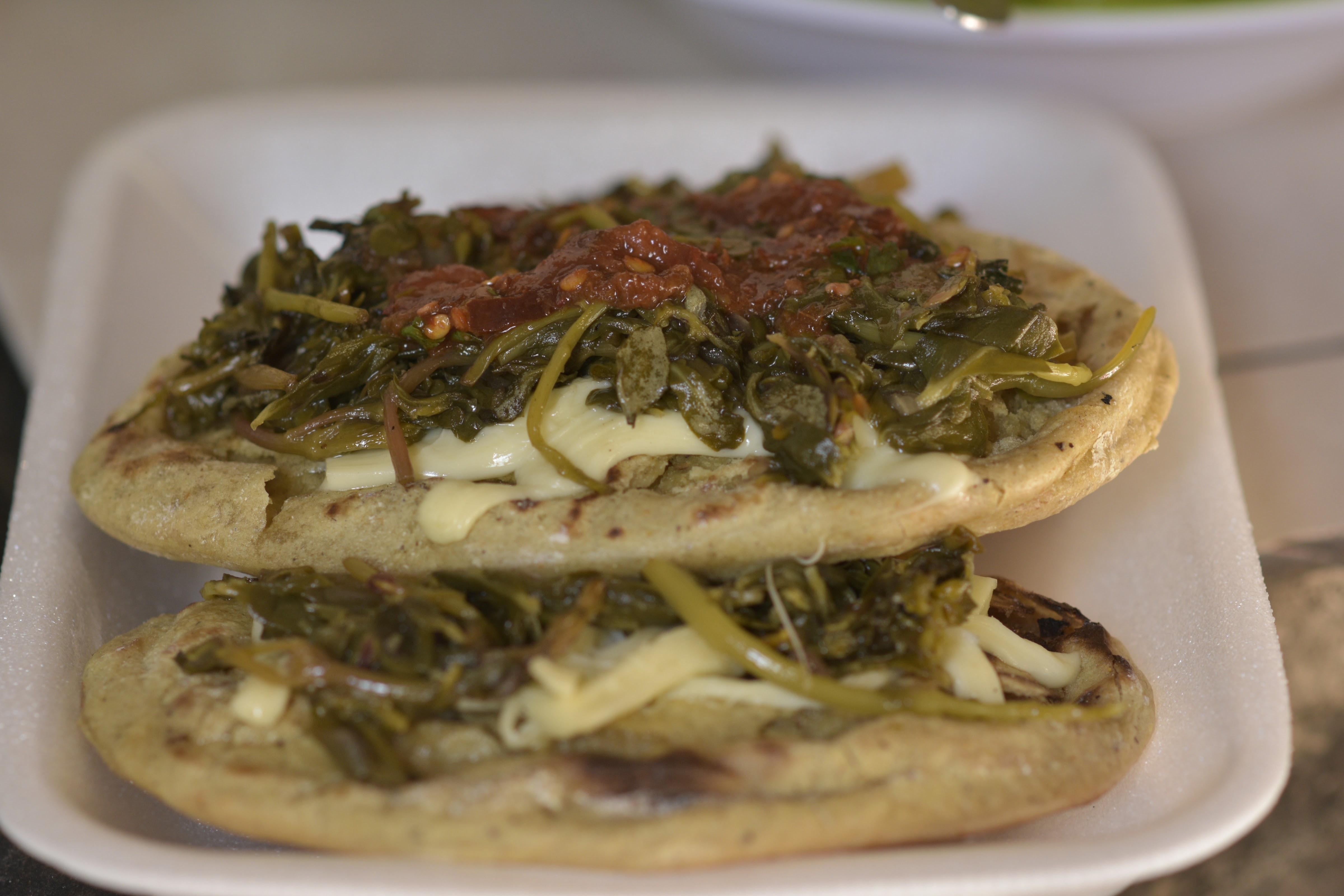 La guaridad del coyote image 2