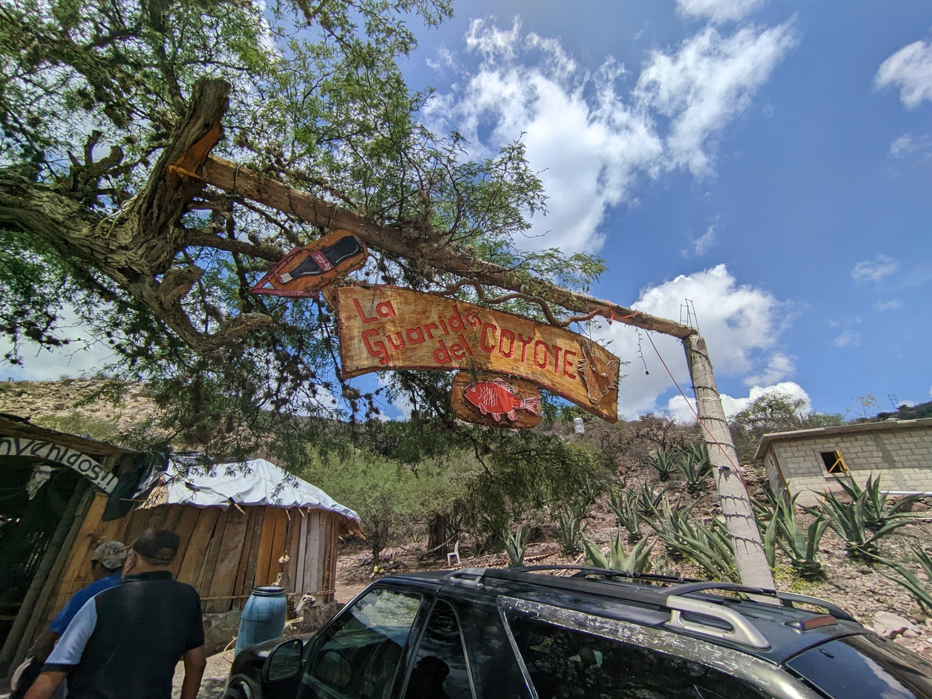 La guaridad del coyote image 3