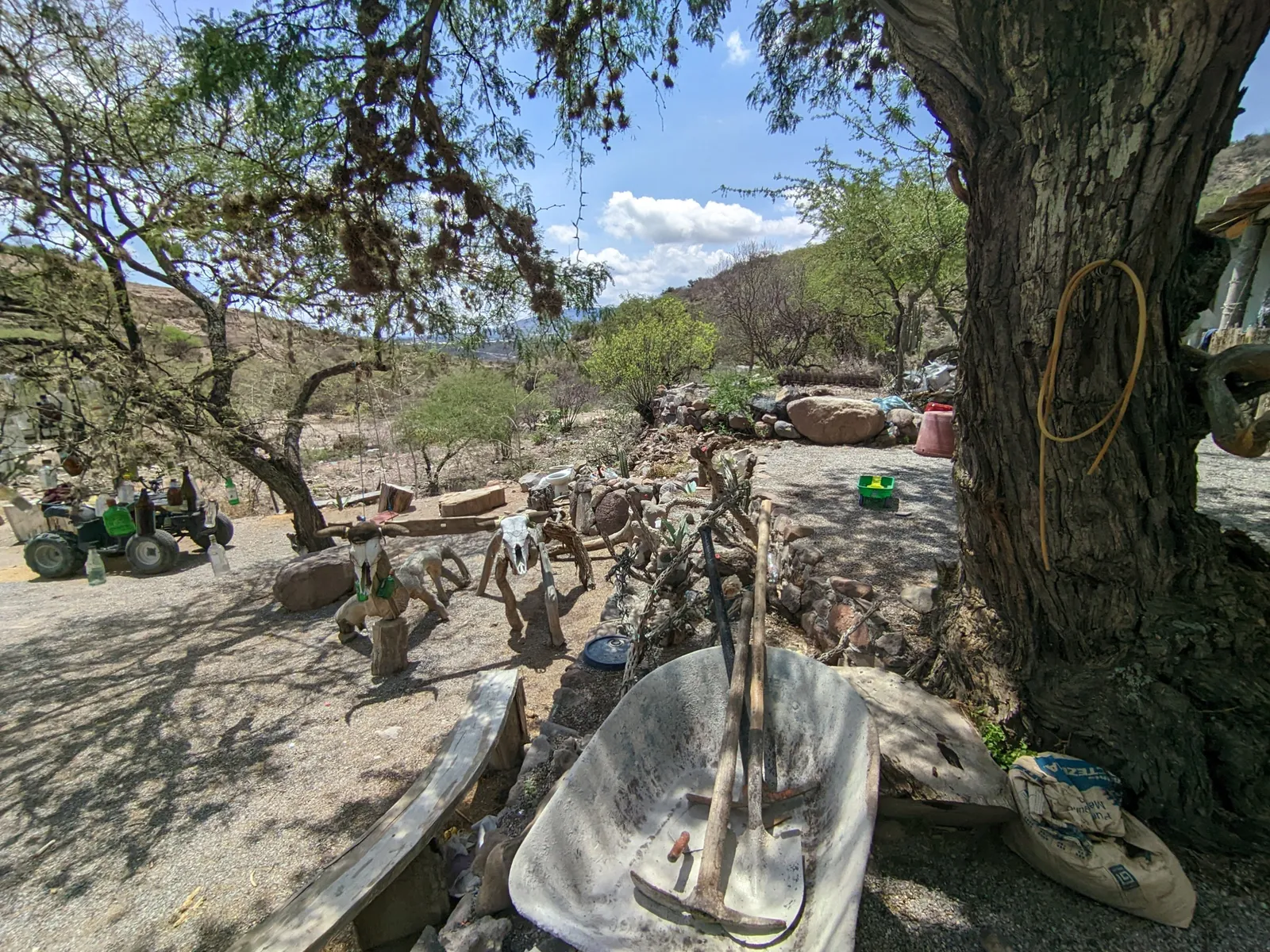 La guaridad del coyote image 5