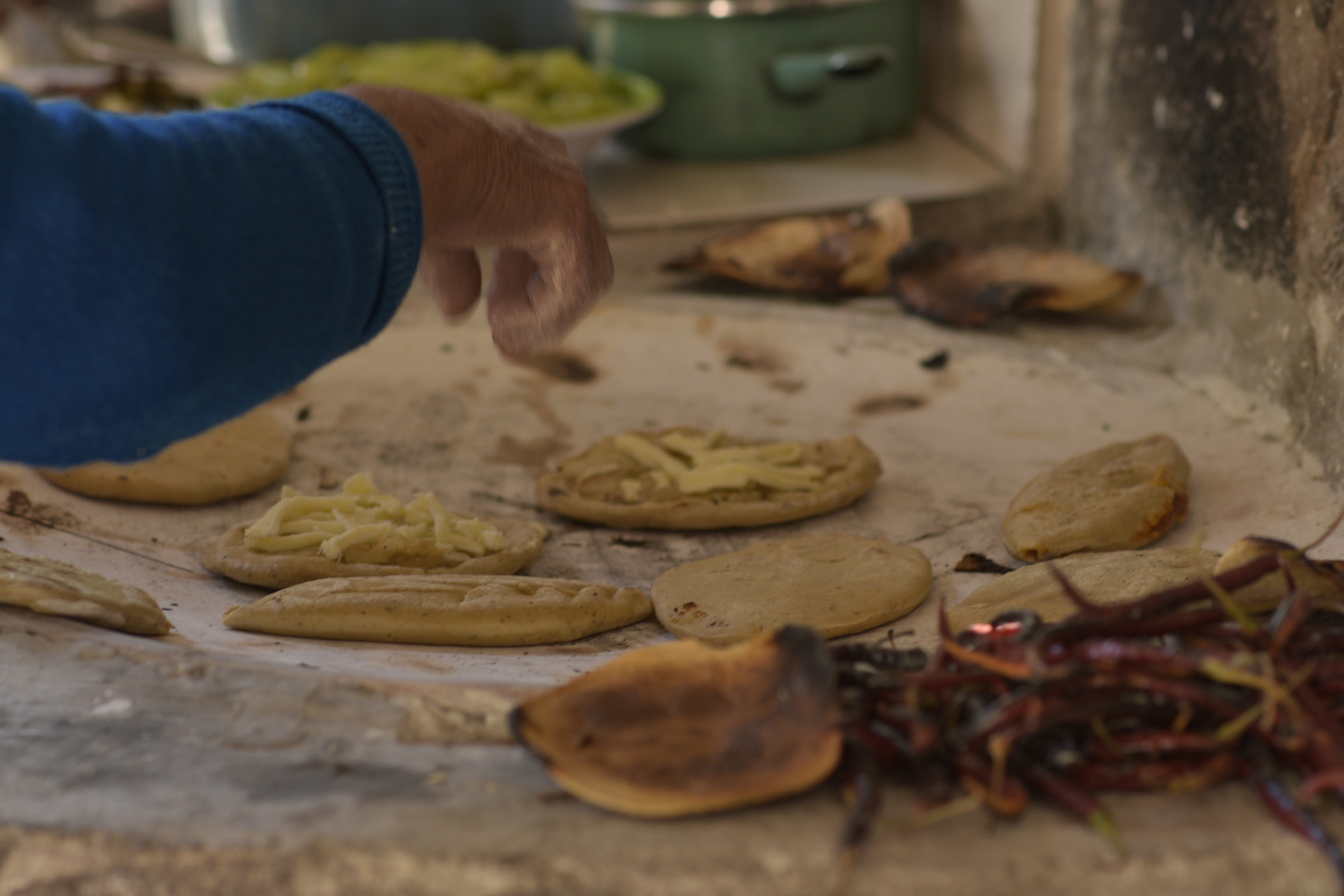 La guaridad del coyote image 6