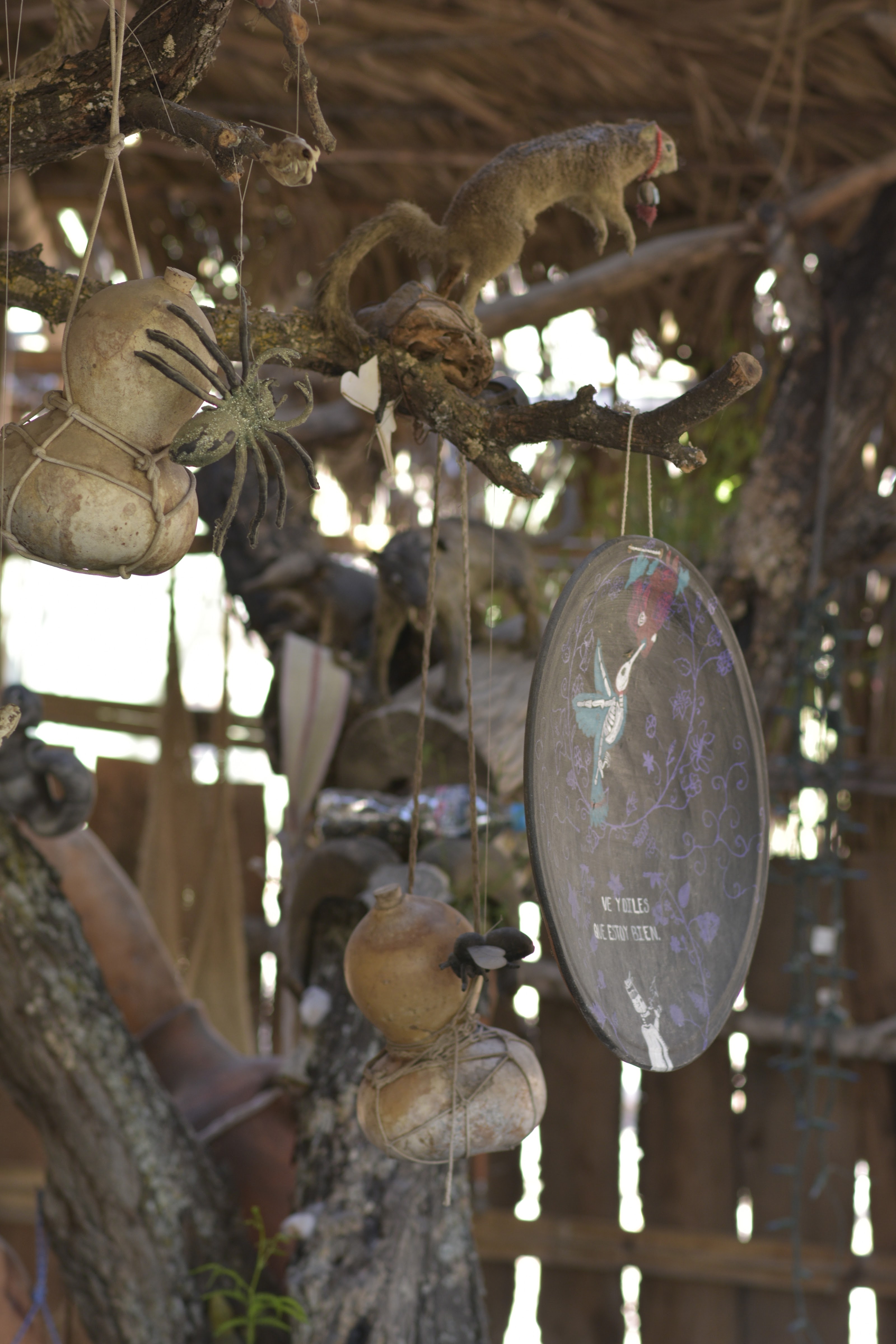 La guaridad del coyote image 9