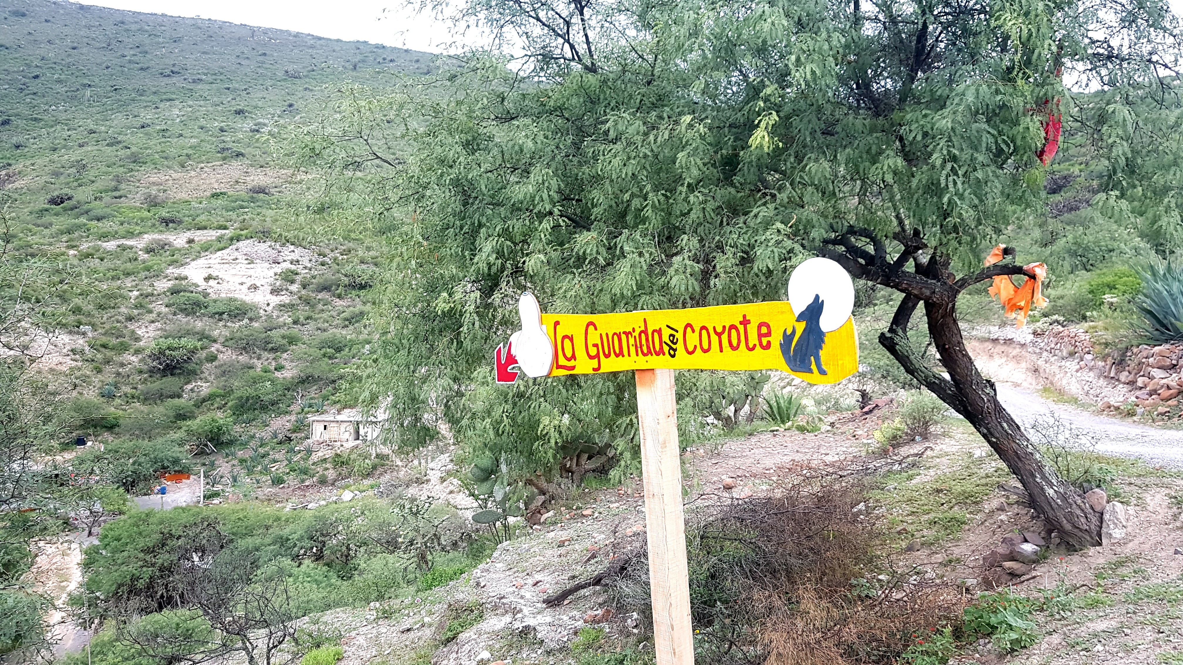 La guaridad del coyote image 10