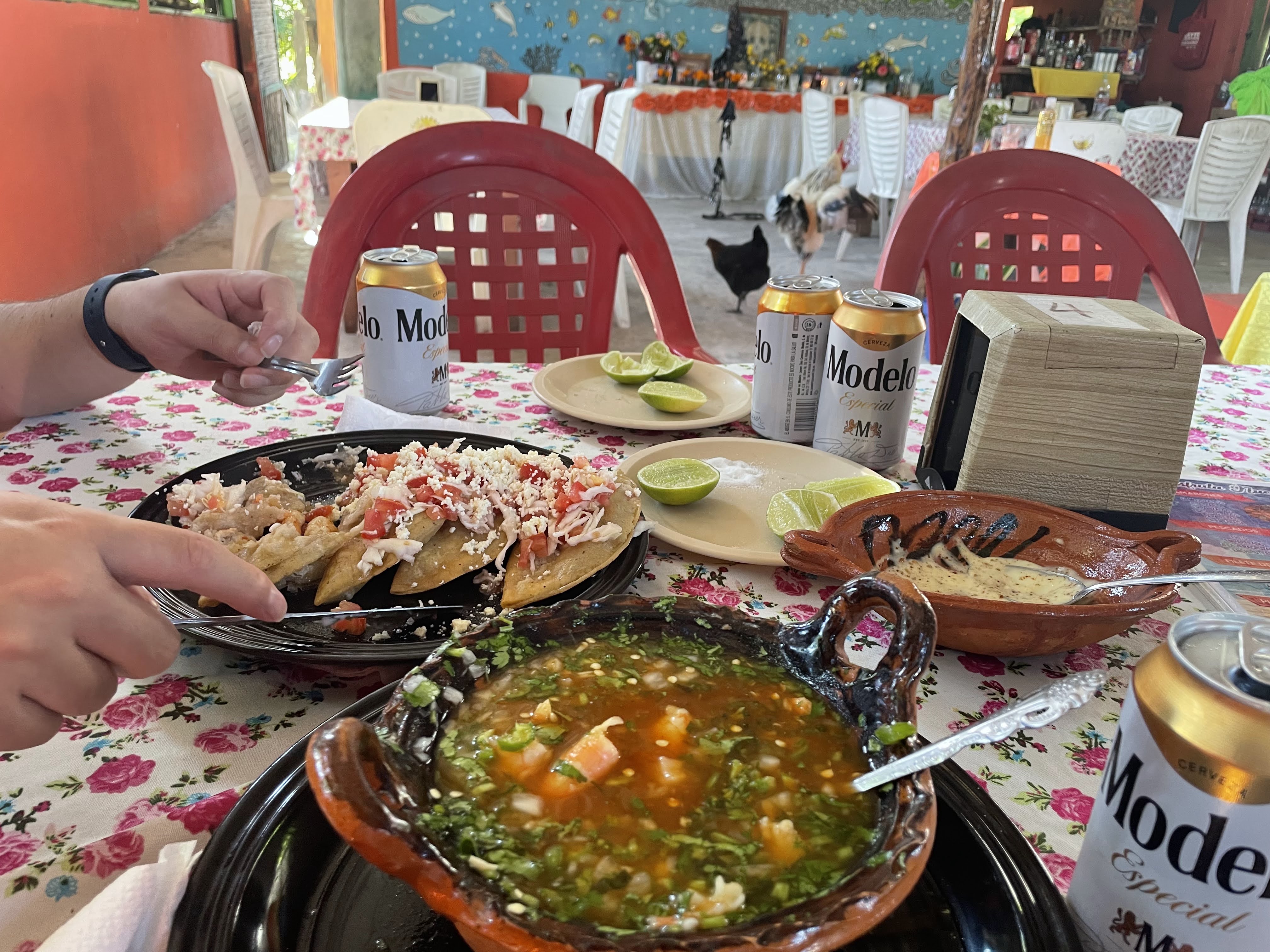 RESTAURANT LUCIO SACRIFICIO image 6