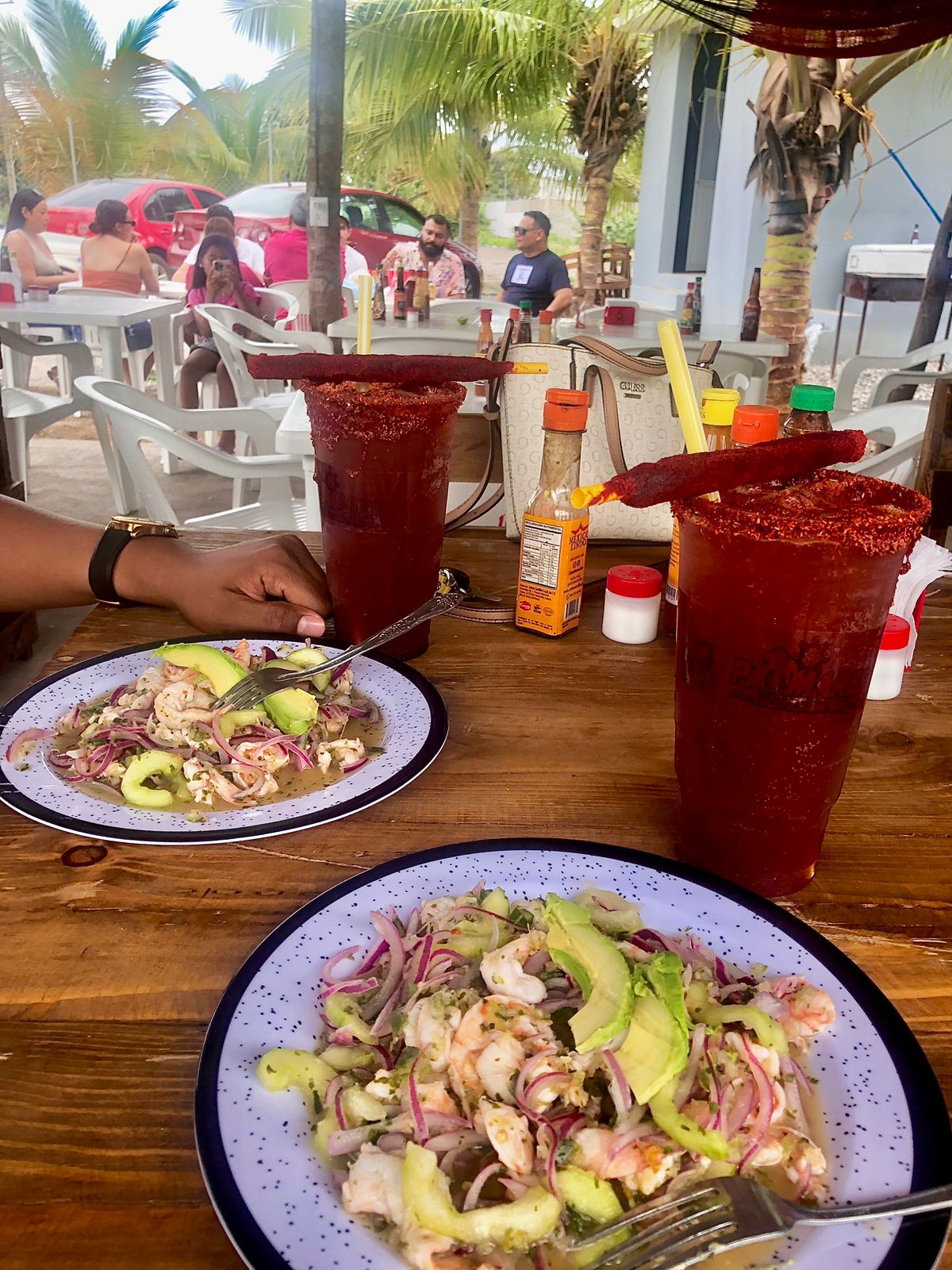 Palmares Zacatula image 2