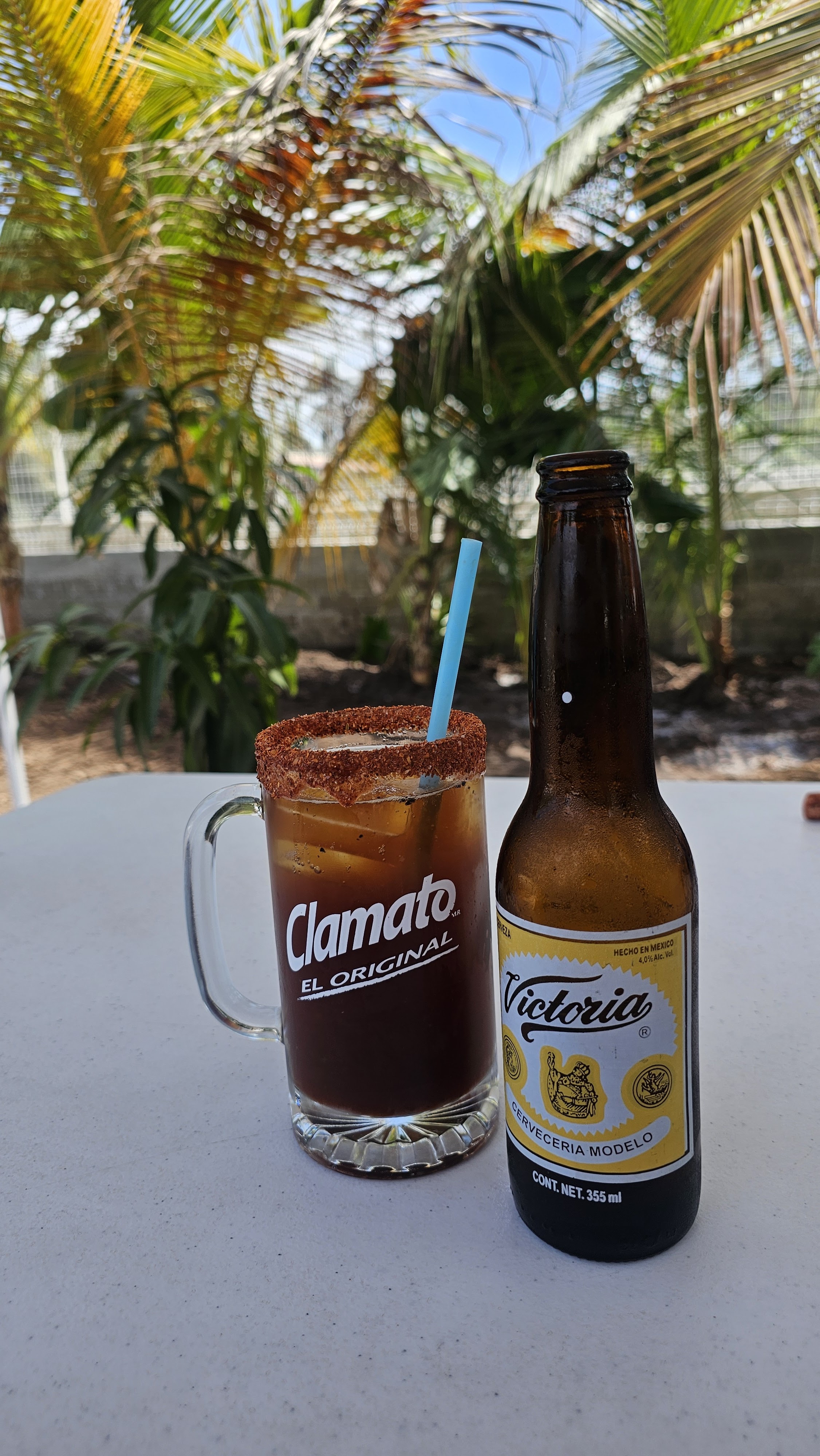 Palmares Zacatula image 4