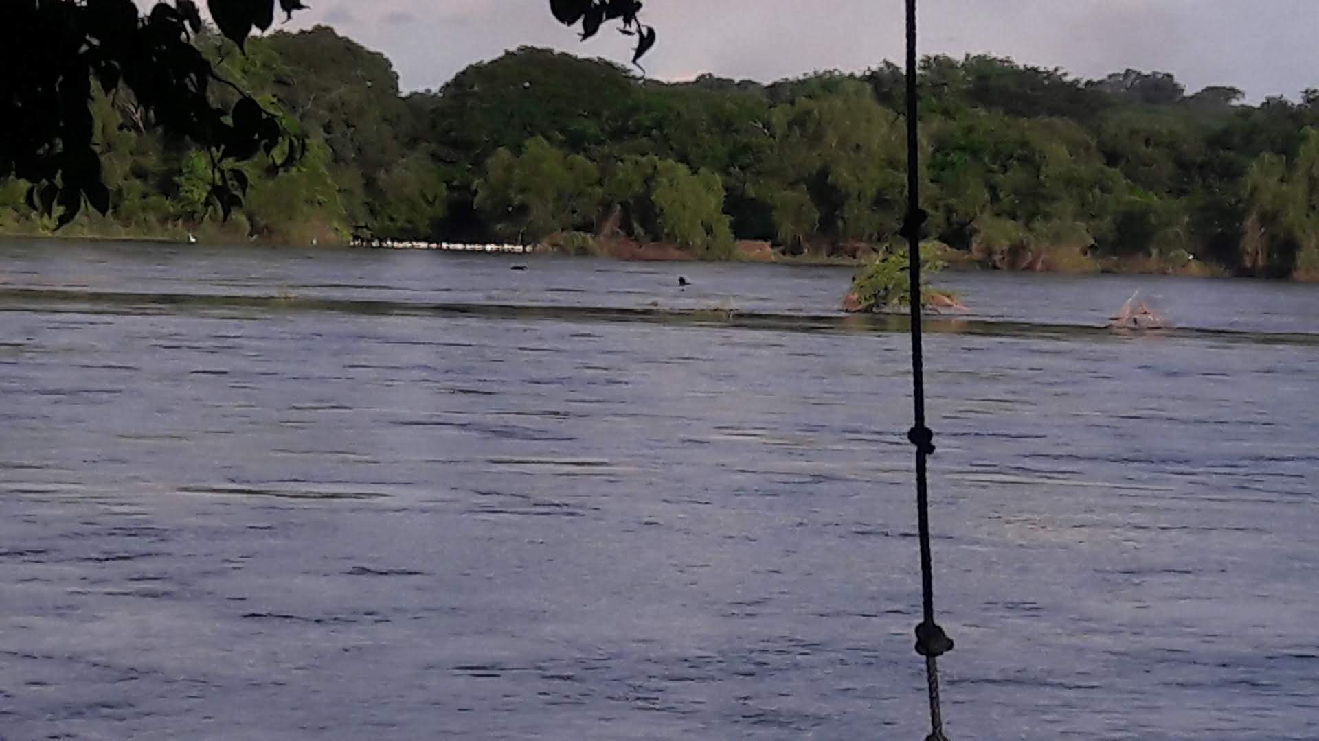 Enramada El Negro Perez image 7