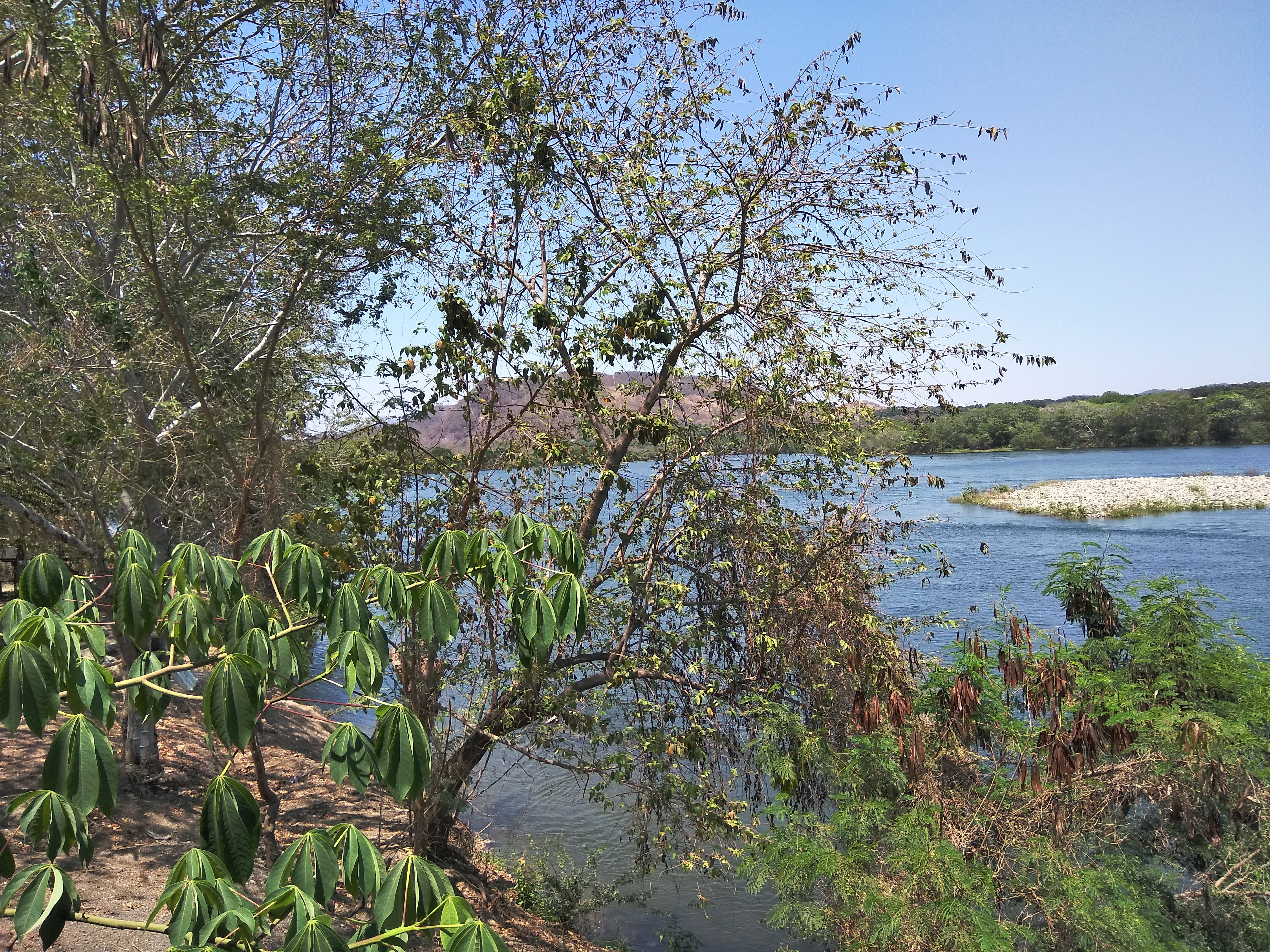 Enramada El Negro Perez image 9