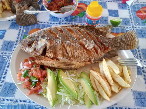 Enrramada la Escondida image 2