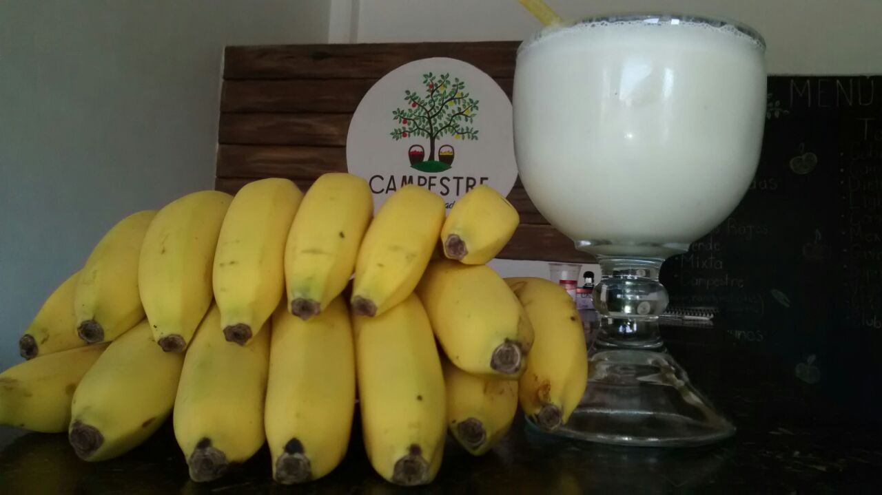 Jugueria CAMPESTRE image 6