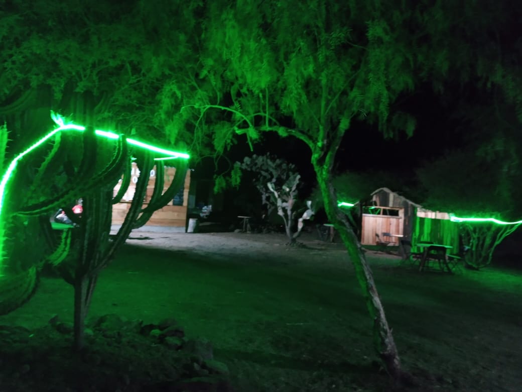 "Botanero Loco" image 3