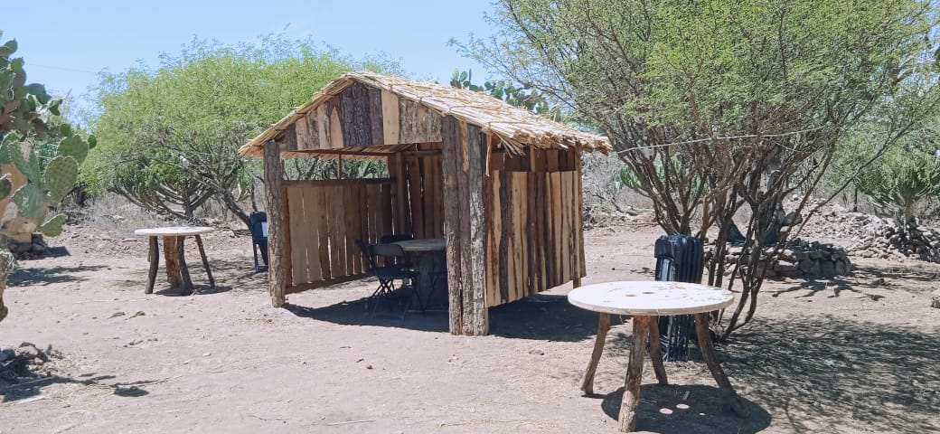 "Botanero Loco" image 5