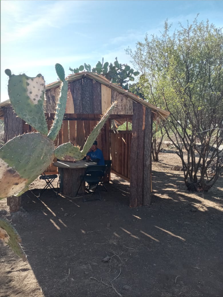 "Botanero Loco" image 6