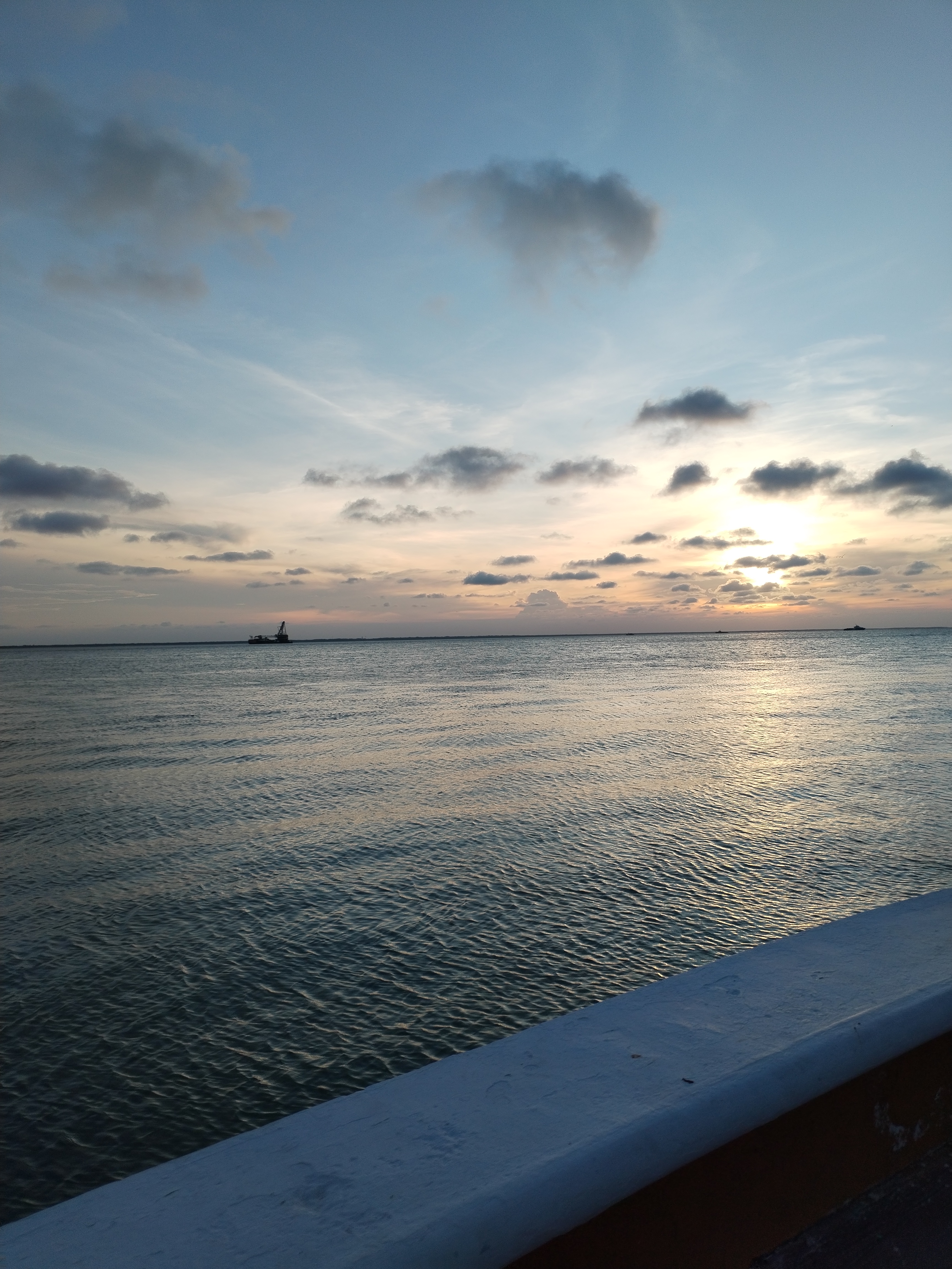 La ola marina image 4