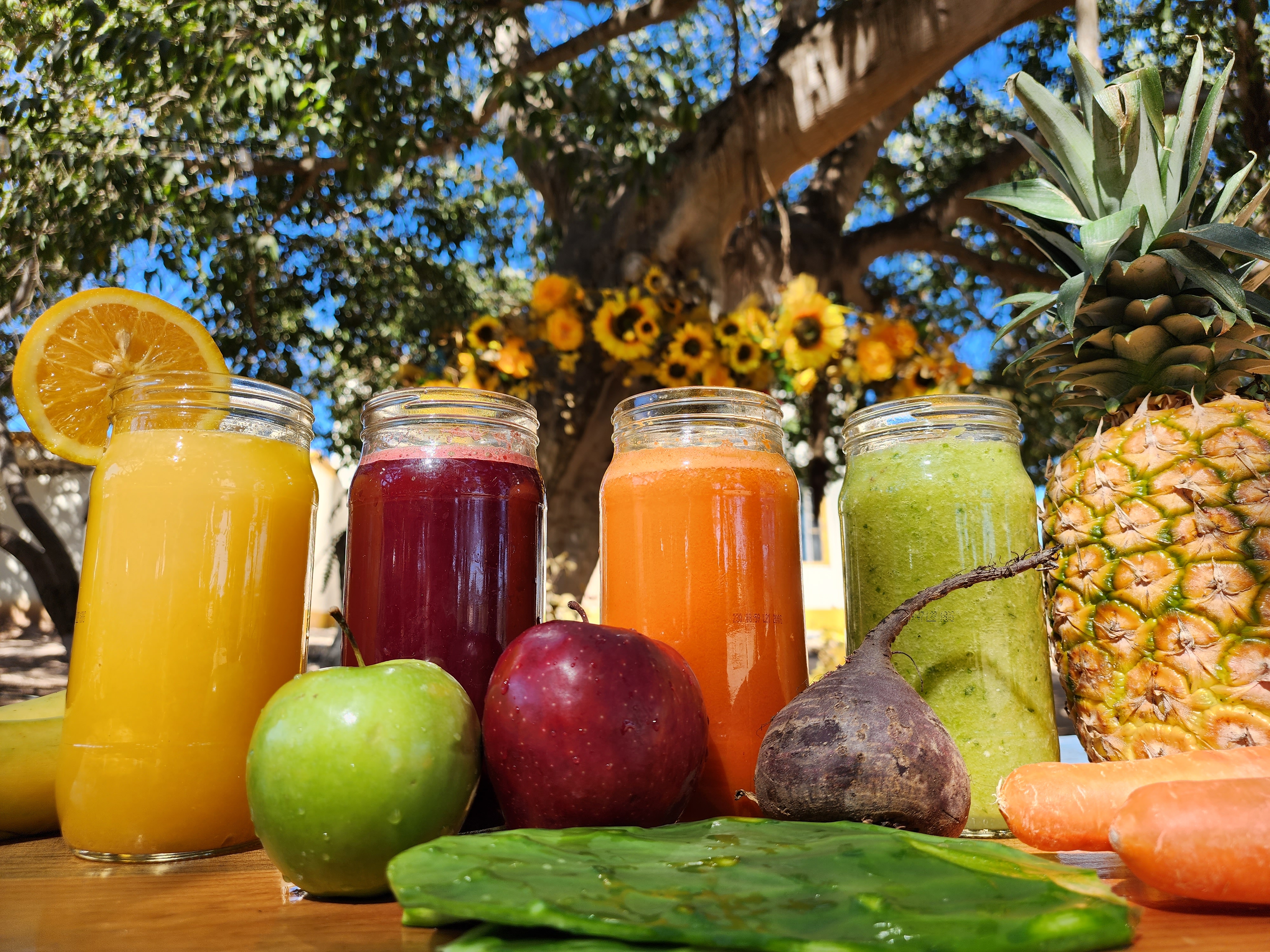 Los árboles image 5