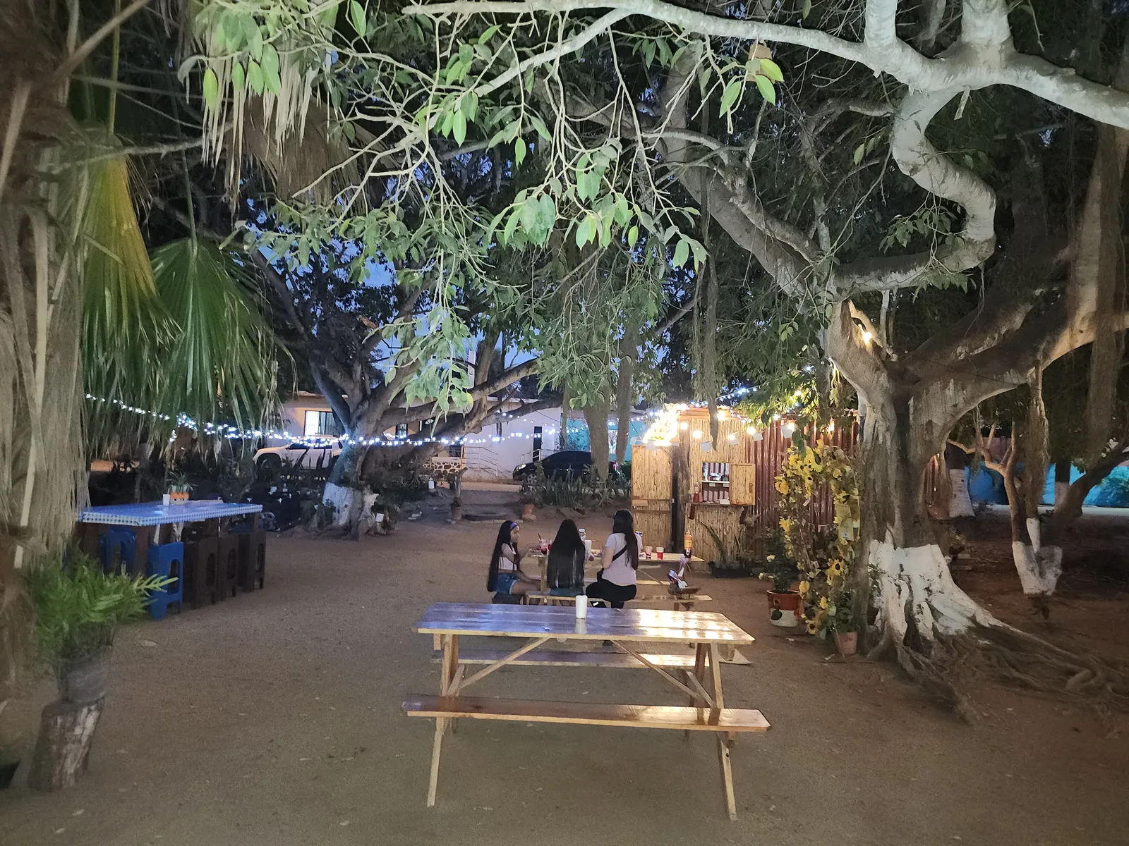 Los árboles image 6