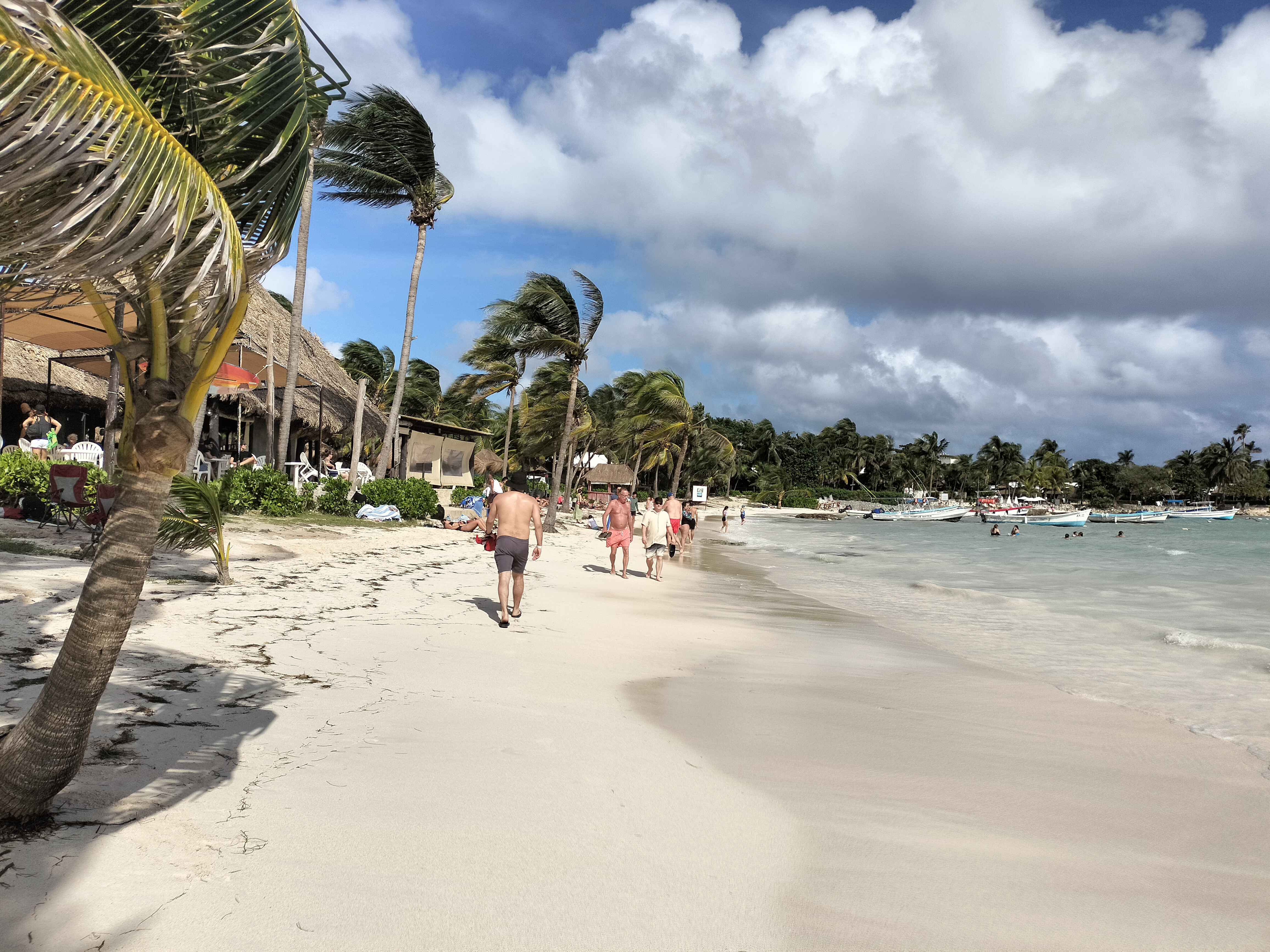 Lol-Ha Restaurant image 5