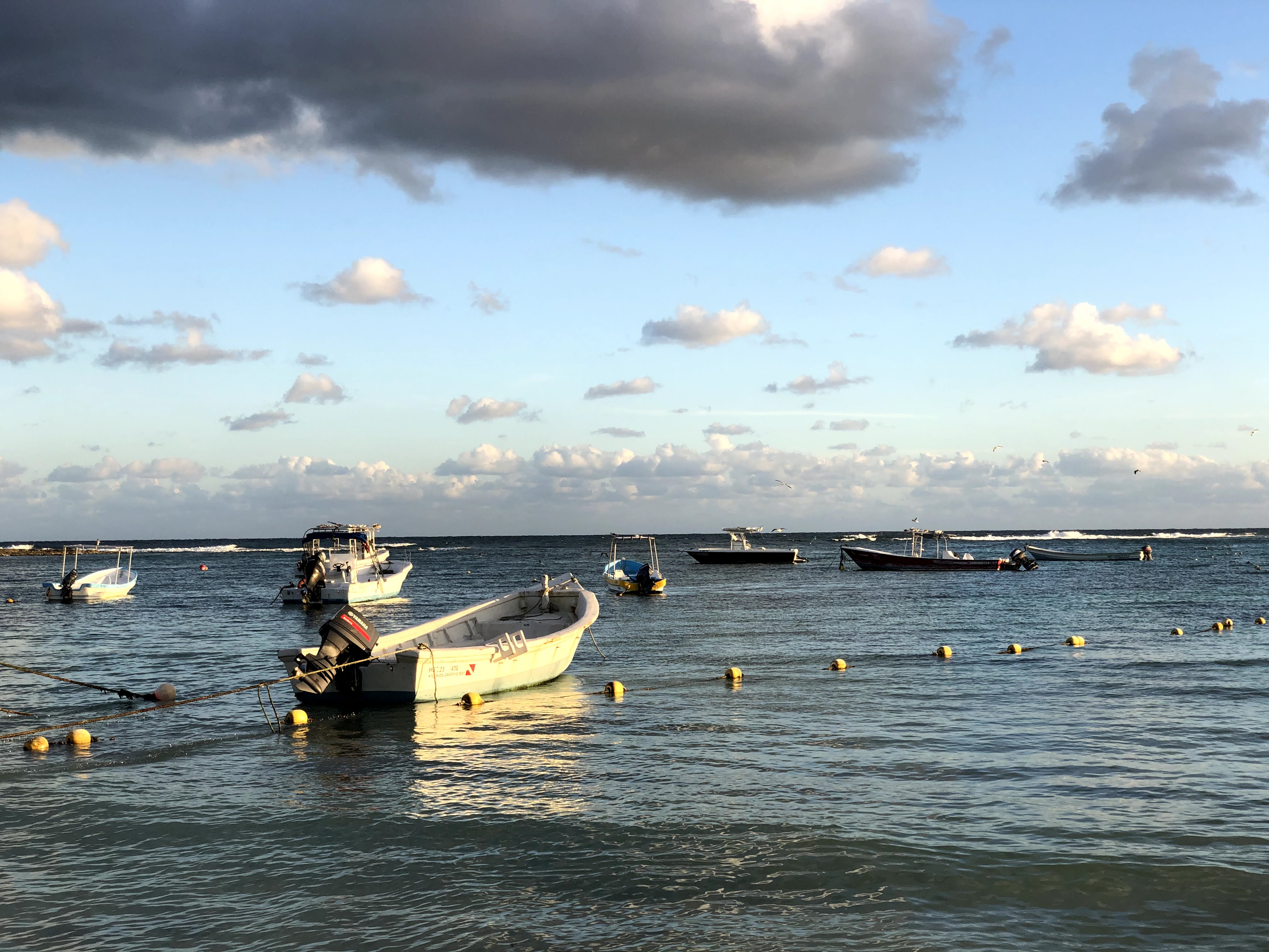 Lol-Ha Restaurant image 9