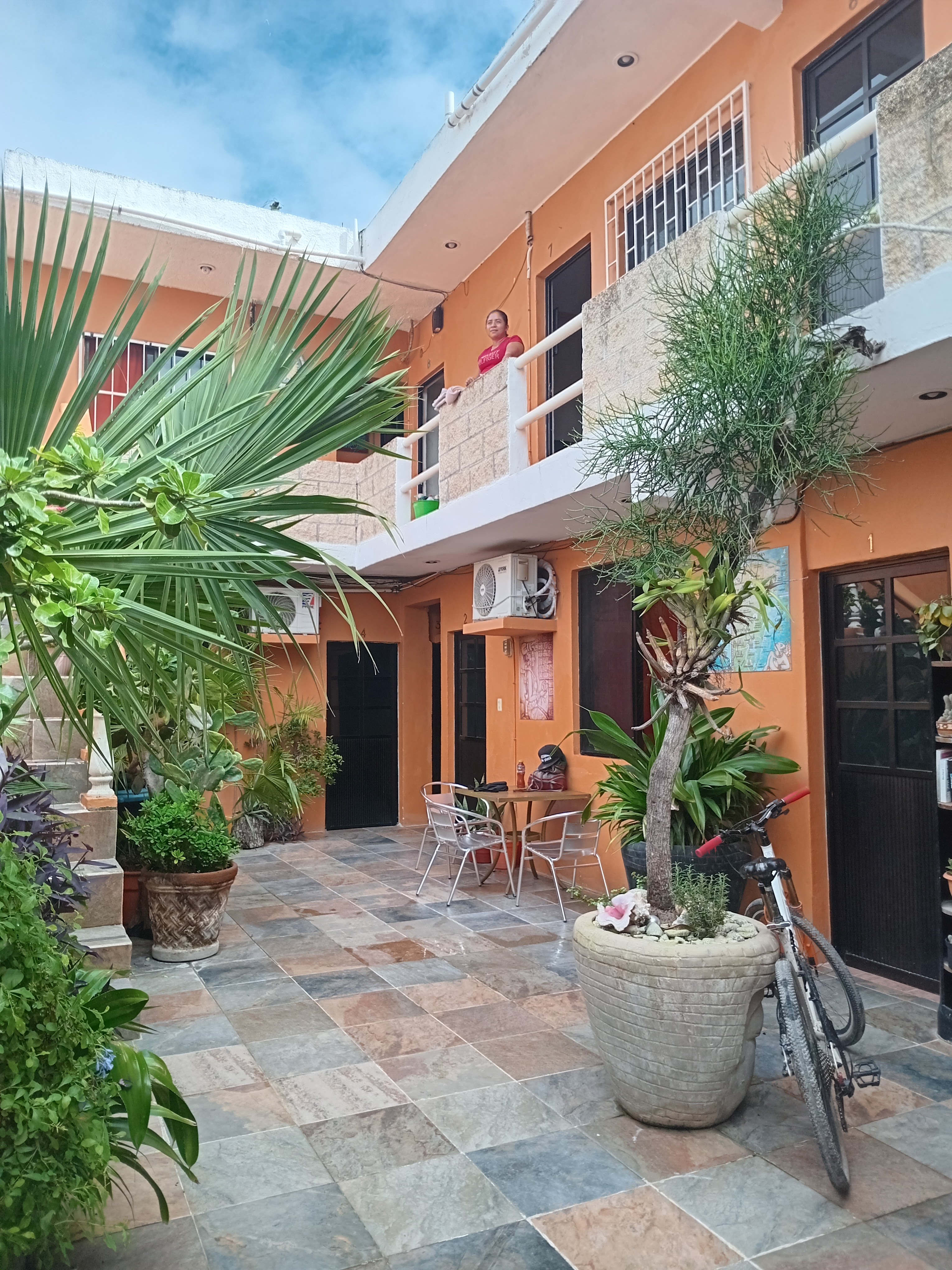 El Último Maya image 4