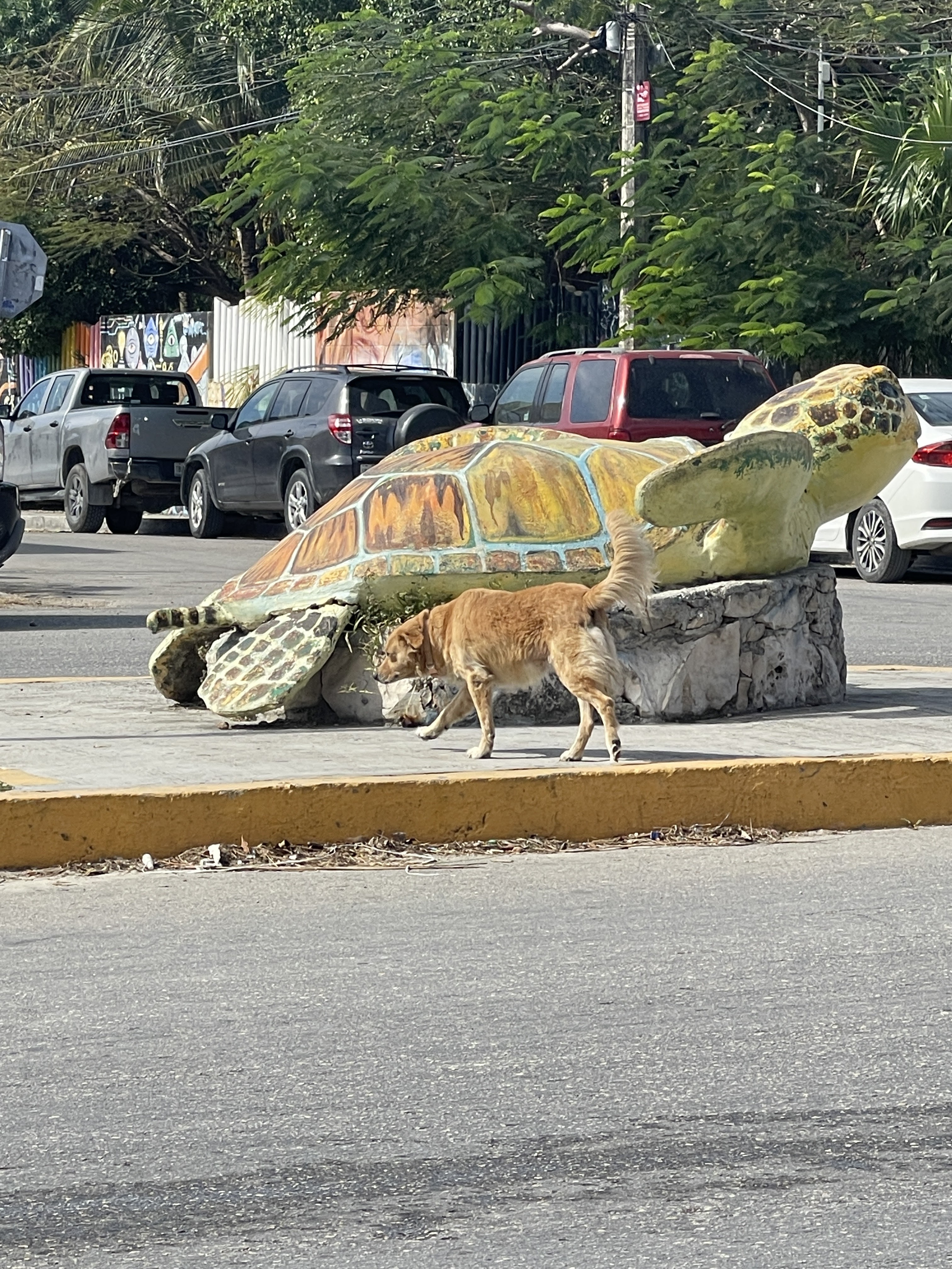 Taquería La Lunita image 3