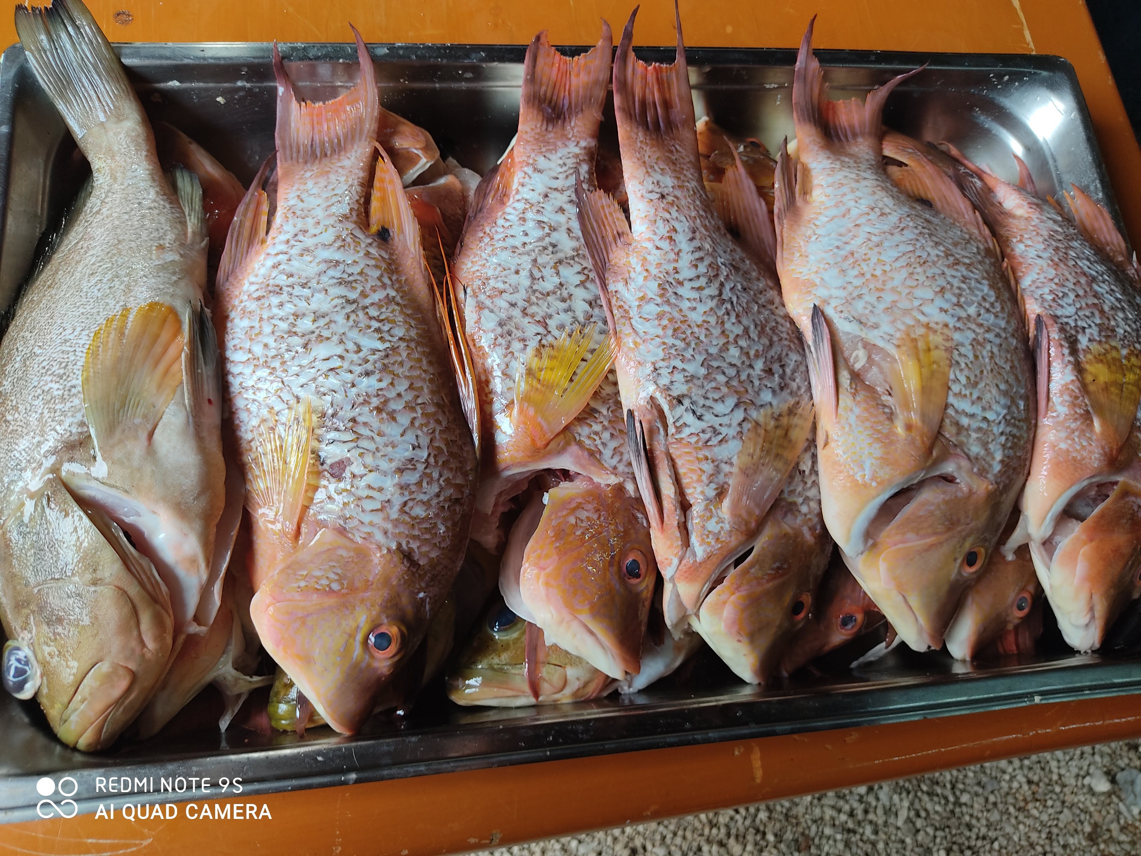 taqueria chucky image 2