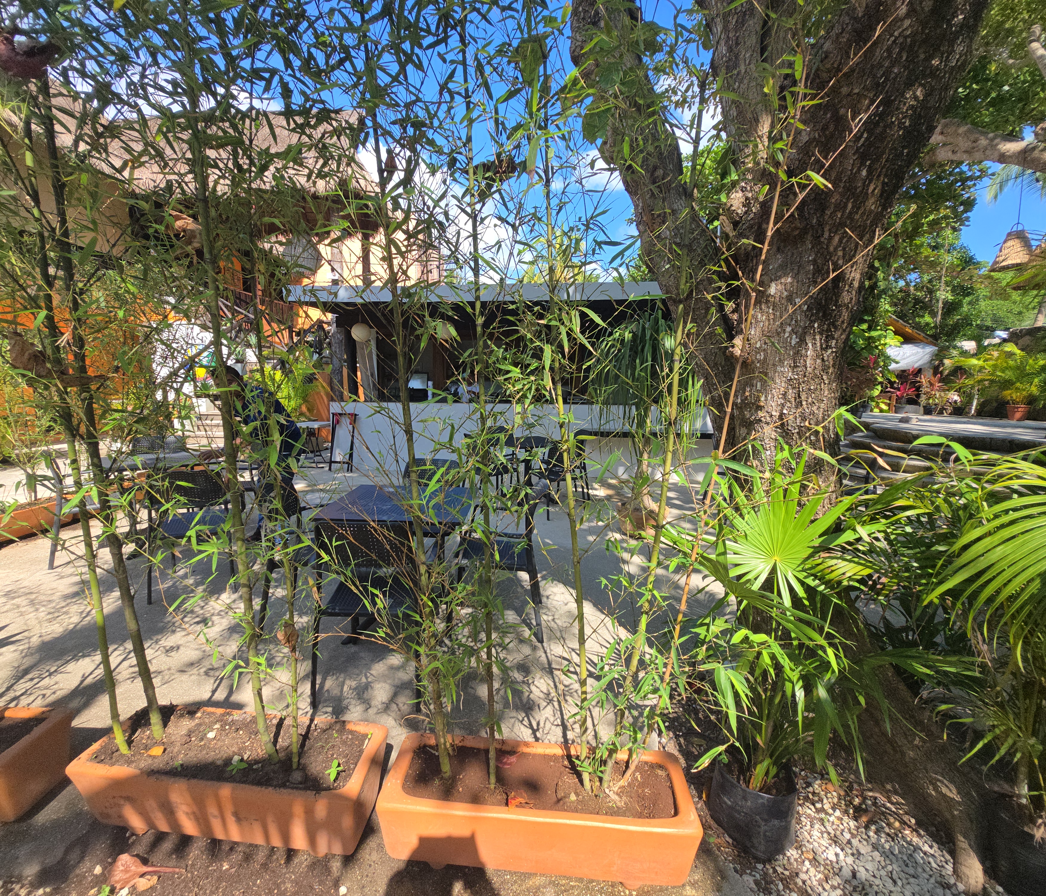 BARANSU SUSHI image 6