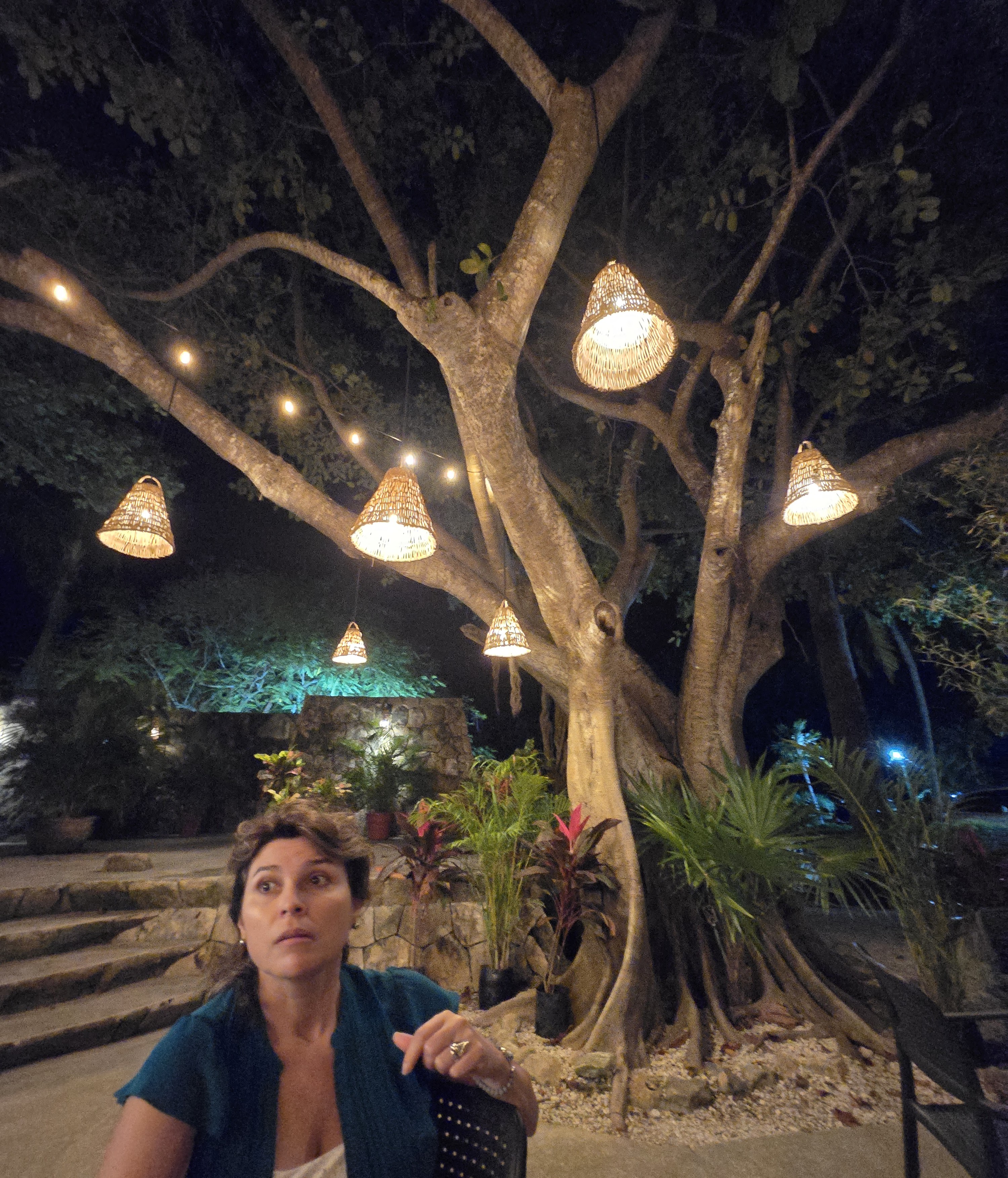 BARANSU SUSHI image 8