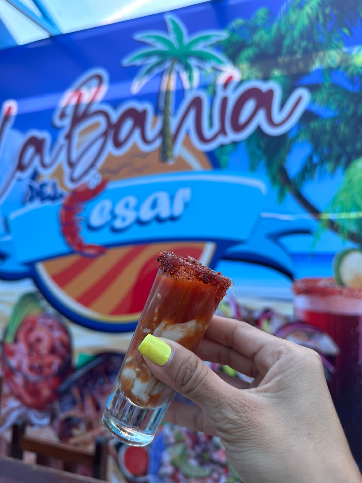 La bahía del Cesar image 2