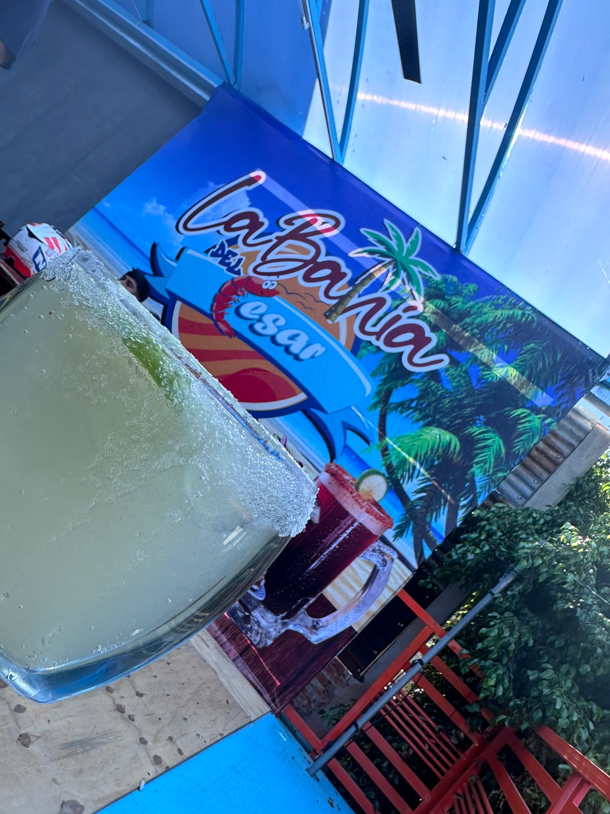 La bahía del Cesar image 5