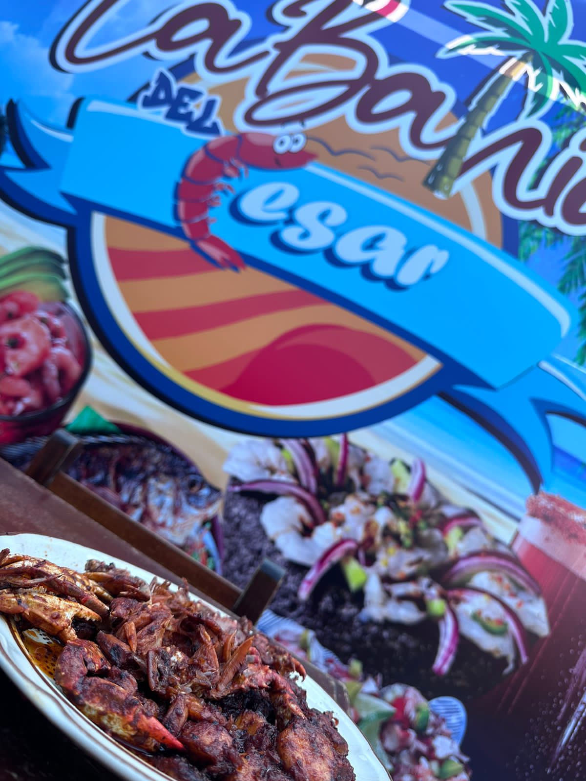 La bahía del Cesar image 6