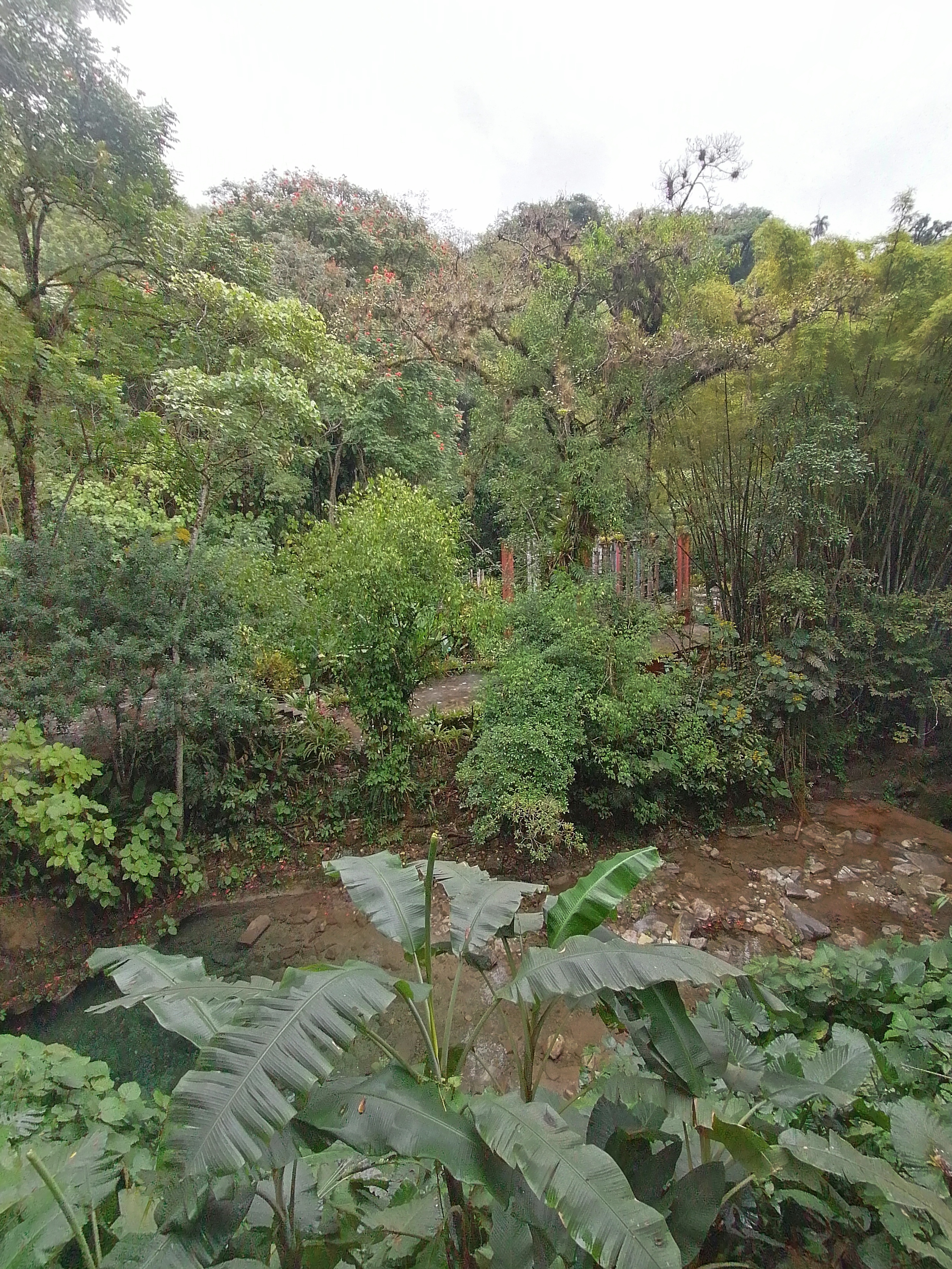 Restaurante Las Conchitas image 7