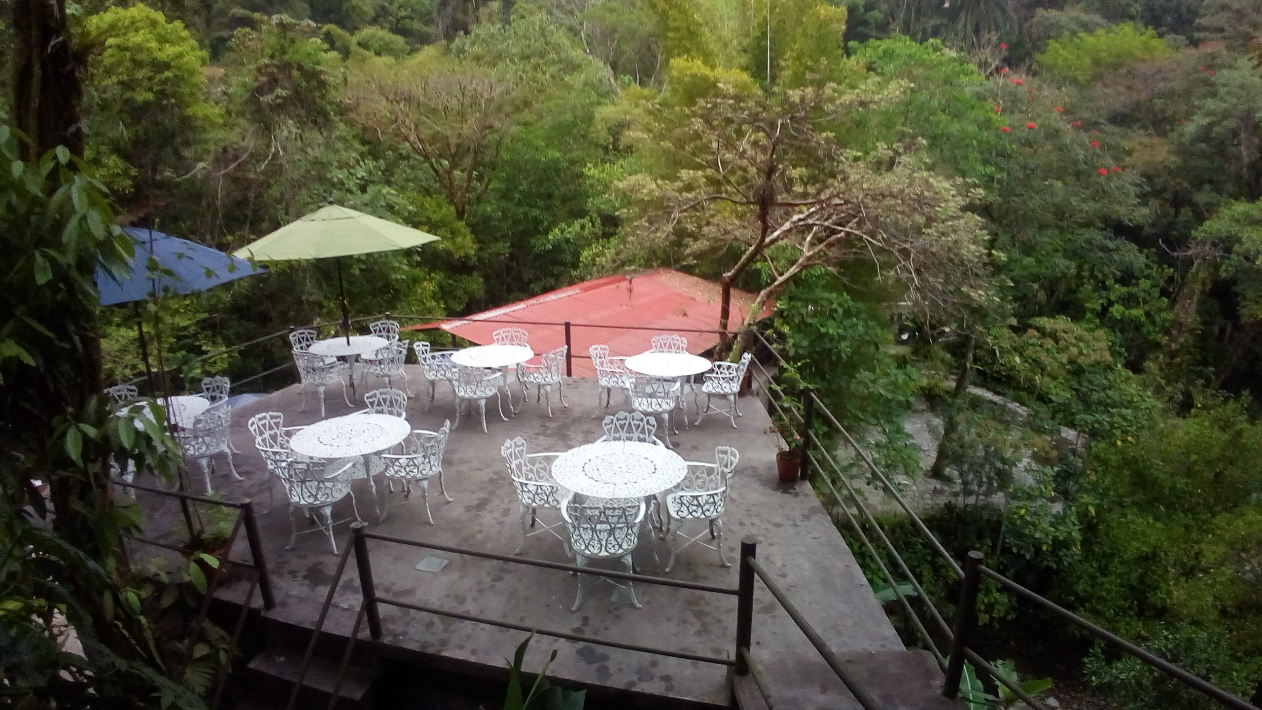 Restaurante Las Conchitas image 10