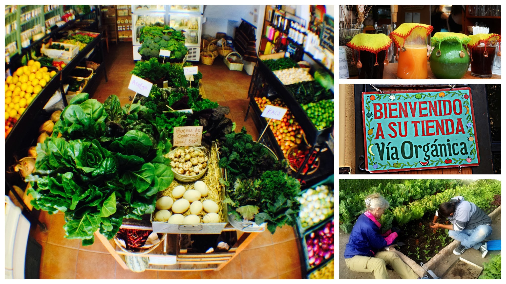 Vía Orgánica Restaurante y Parque Agroecológico image 2