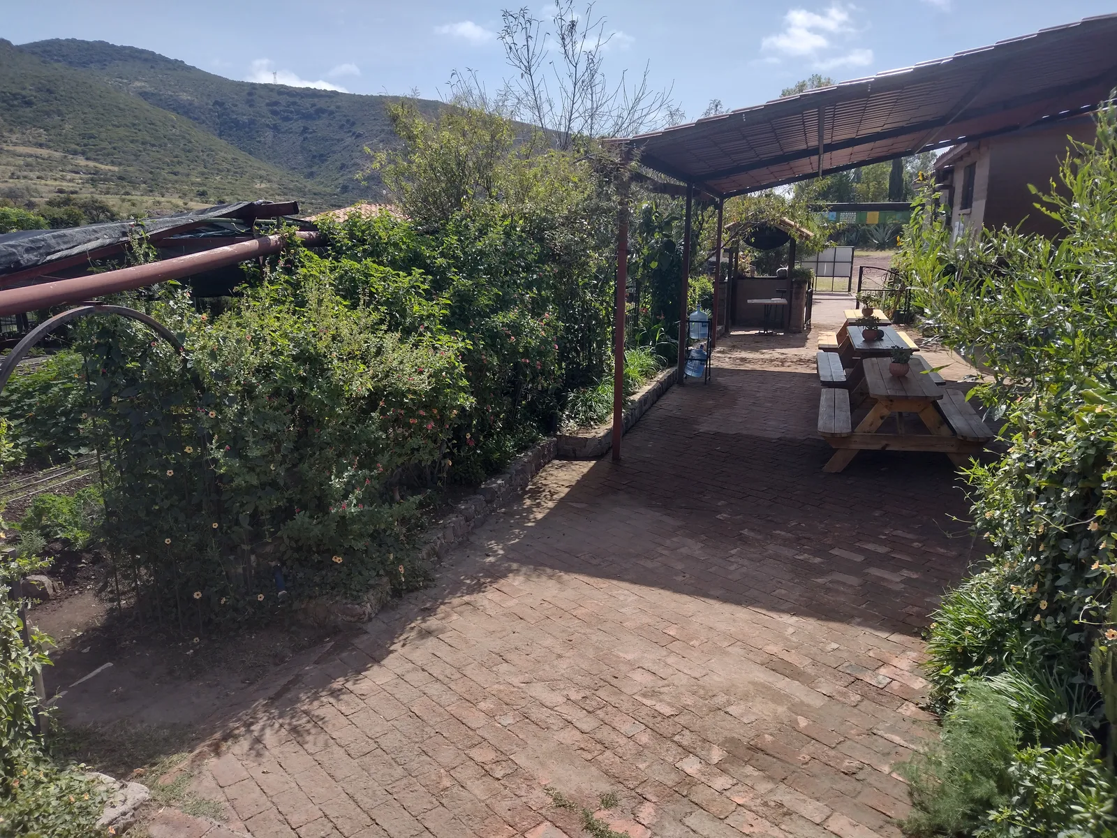 Vía Orgánica Restaurante y Parque Agroecológico image 4